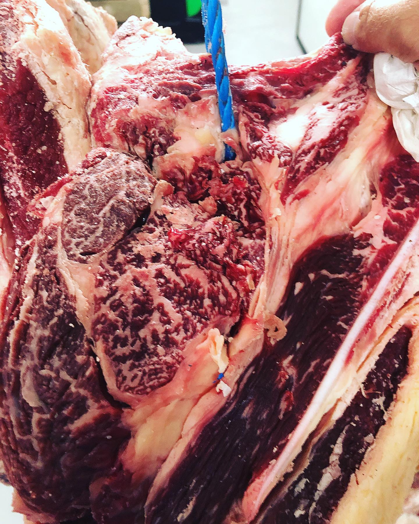 Holstein d’exception chez @boucherie_lyonnaise_origine_ il n’y en aura pas deux… #viandematuree #corbas #viandespremium