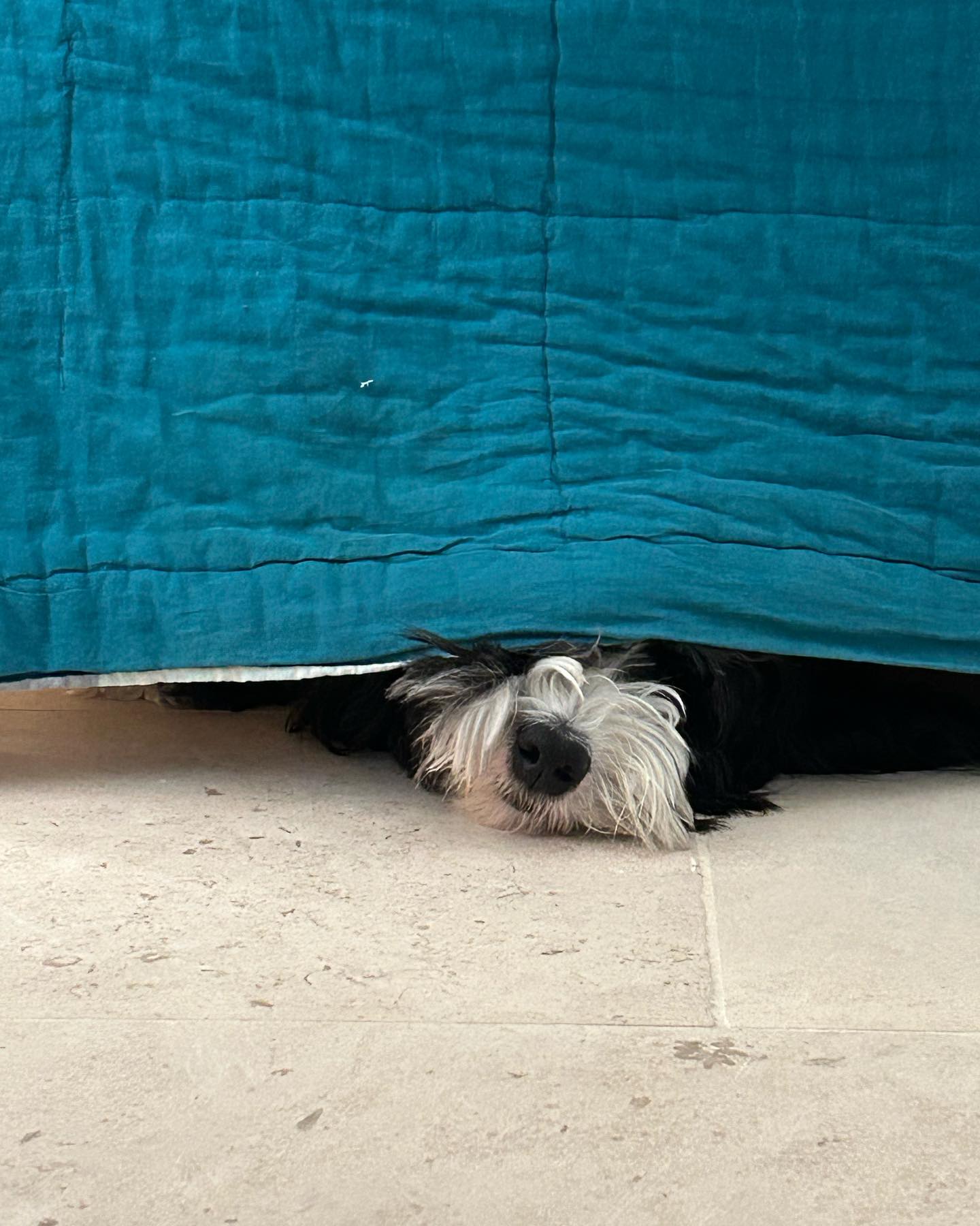 The cutest hide at La Maison LONG**** .
.
.
.
.
Book La Maison LONG****
Vacation home | Photoshoot
4 bedrooms | 6 guests
📍In the heart of the village (Ollioules, Var)
⛱ 15 min from beaches by car
⏱ Near Sanary-sur-Mer, Bandol, Le Castellet, Evenos, La Cadiere d'Azur, Toulon!
⌨ For lowest prices, book here:
www.lamaisonlong.com
.
.
Réservez La Maison LONG****
Maison de vacances | Lieu de Tournage
4 chambres | 6 personnes
📍Au cœur du village (Ollioules, Var)
⛱ 15 min des plages en voiture
⏱ Proche de Sanary-sur-Mer, Bandol, Le Castellet, Evenos, La Cadiere d'Azur, Toulon!
⌨ Réservez ici (prix les plus bas) : www.lamaisonlong.com
#lamaisonlong #maisonlong #ollioules #sanarysurmer #vacationhome #slow #slowliving #cotedazur #southoffrance #regionsud #frenchriviera #provencealpescotedazur #pacatourisme #maisonalouer #locationsaisonniere #maisondecharme #maisonsdevacances
#authenticprovence #suddelafrance #lesud #ProvenceGuide #VisitProvence #frenchcountry #uniquehomes #amazingspaces #patrimoinefrancais #oldstones #vaultedceiling