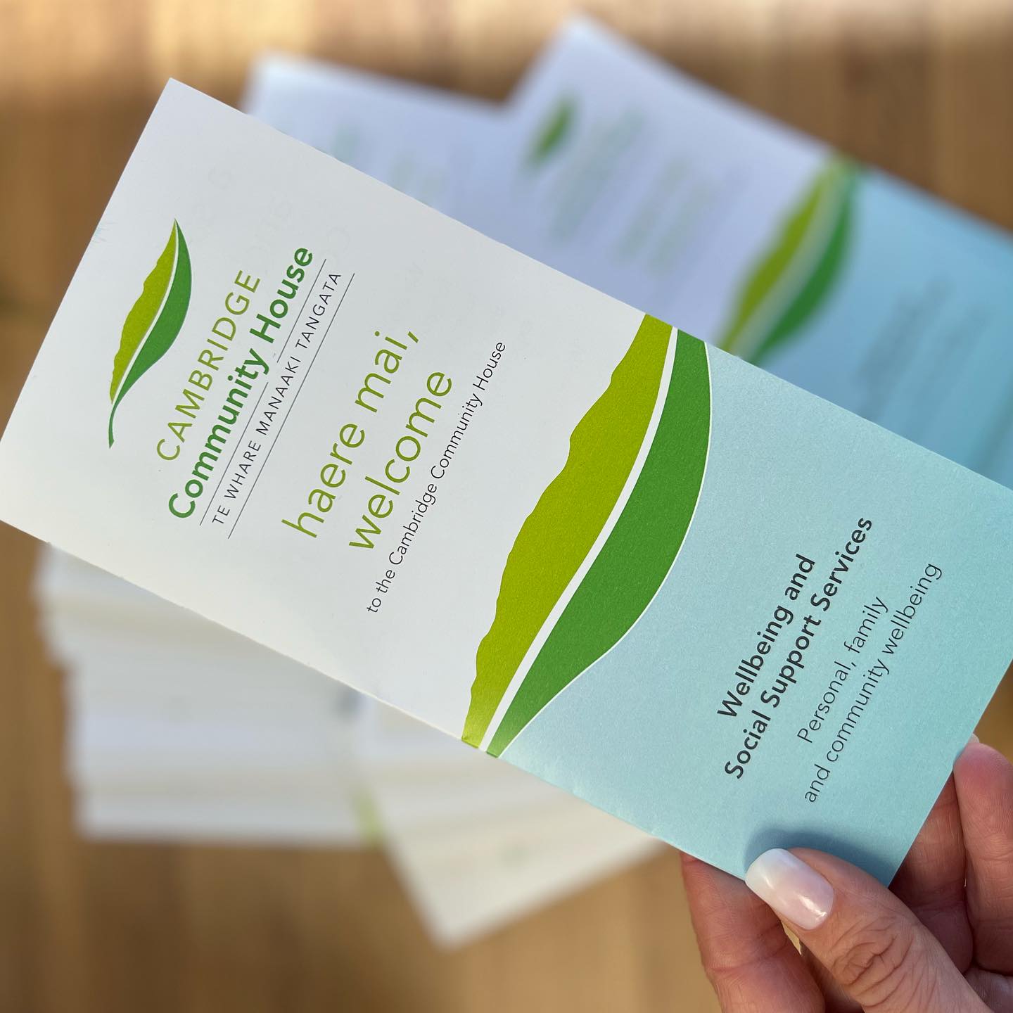 Brochures for @cambridgecommunityhouse
DL brochures are a great, compact way to get the most information out to your customers.
#supportlocal #brochures