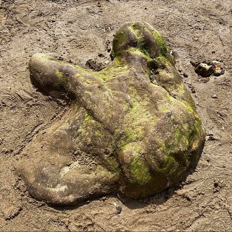 Did you know Iguanodon was discovered before the word ‘dinosaur’ even existed and was one of the species used to describe these ancient creatures?
Iguanodon was a large herbivorous dinosaur from late Cretaceous Belgium, Germany, Spain, and England. Their name means ‘iguana tooth’ in reference to the animal’s teeth which appear very similar to those from a modern Iguana.
Casts of their footprints are quite common and can be found along the coasts on the Isle of Wight.
#dinosaur #dinosaursofinstagram #dinosaurs #iguanodon #iguana #palaeontology #paleontologist #paleontology #museum #naturalhistory #naturalhistorymuseum #nature #animals #animalsofinstagram #IsleOfWight #fossil #fossilhunting #facts