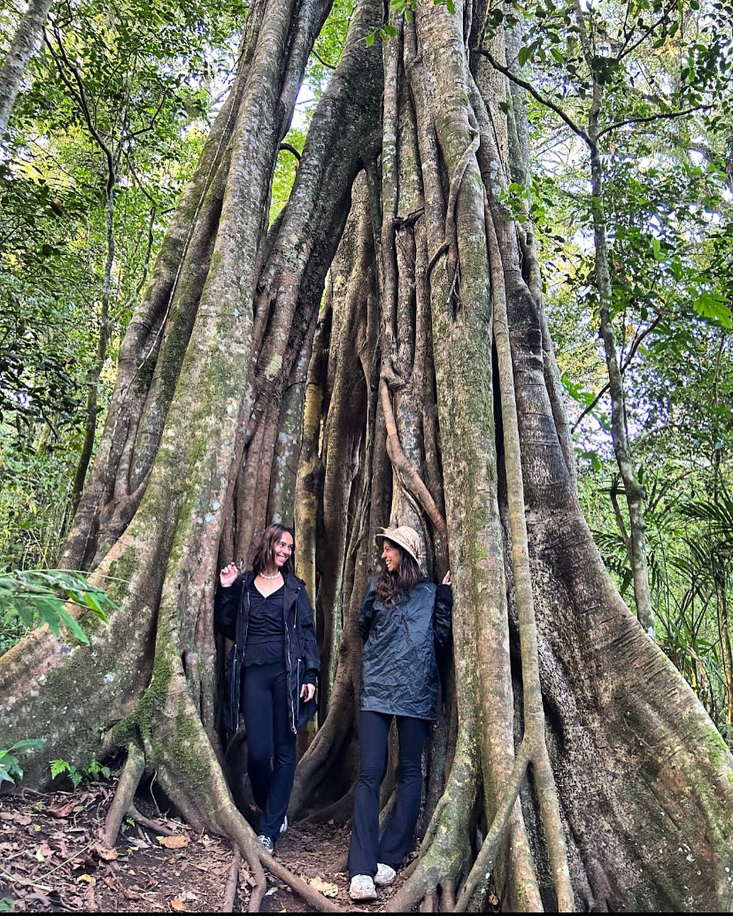 ❣️ Reminder : suis-je bien ancré.e pour la rentrée ?
.
.
.
#ancrage #stabilite #securite #racine #chakraracine #enracinement #organisation #socle #bali #trees #arbredevie