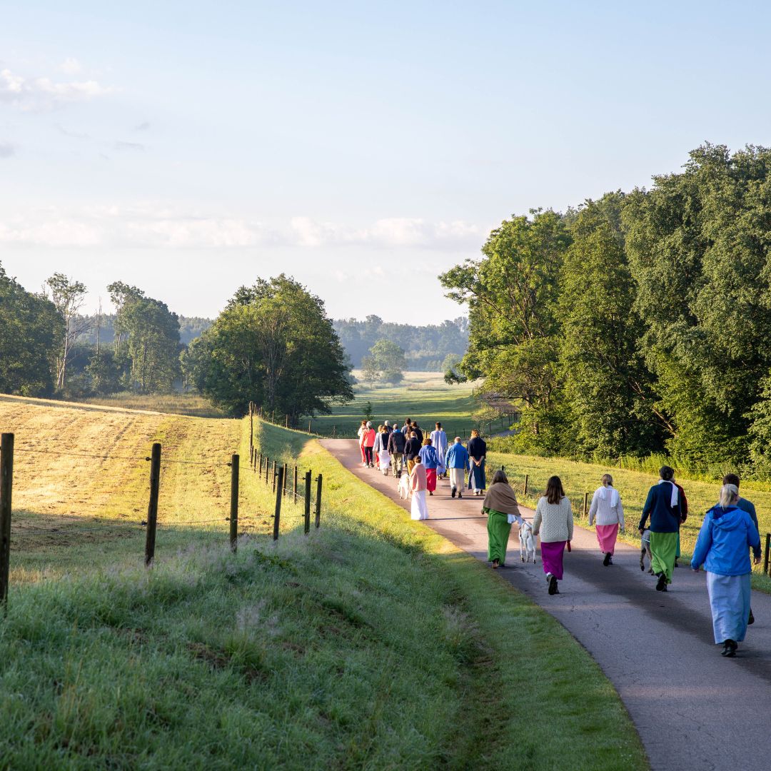 "As a member of the community, it is so beautiful to see pilgrims coming to Divinya. Seeing the difference in how they come and how they go. The many new components which are part of our everyday structure here in Divinya, can sometimes be almost like a little culture shock, as so many little details of how we approach life here are unfamiliar at first. Yet, normally, a beautiful readiness is expressed by the pilgrims to dive into this new experience, a curiosity to discover what their time in Divinya could hold for them. I have witnessed how every pilgrim goes through their own unique, personal journey while they are here; how everybody seems to encounter exactly those moments which can bring them further on their way, often providing deep insights and new perspectives for their individual quest. I have often seen people leaving with a totally new body language - with sparkling eyes, broad smiles lighting up their faces, and moving so lightly, as if some weight was lifted from their shoulders"
-Judith
Welcome to read our Divinya Times edition on A Pilgrimage of the Soul.
Link in bio
#divinya #divinyaoffical #spirituality #spiritualjourney
#innerpeace #innergrowth #newparadigm #pilgrimage #pilgrimageofthesoul #innerjourney #communityliving