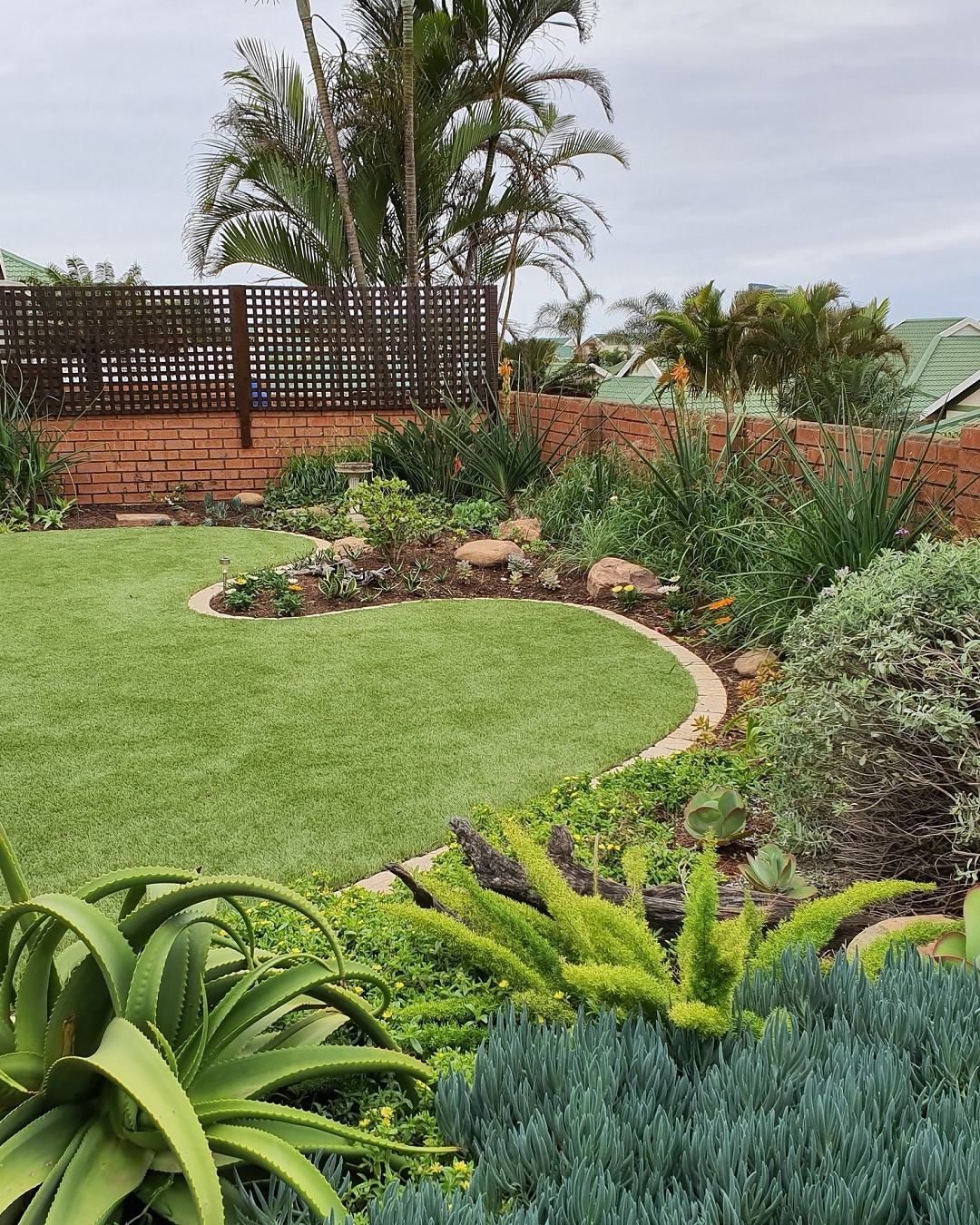Garden Design & Planting Workshop : Sat, 2 September : Hillcrest 08h30 - 13h00
Join me for this visually stimulating and informative workshop on how to lay out a new garden or refurbish your existing outdoor space. We will chat about sustainable design principles, functionality of the space, colour and texture and, most importantly, how you can choose plants that will enhance your outdoor space. That's half the battle won - not wasting money on planting, ripping out, planting again, moving . . . you know the story.
R450 per person all inclusive
email : info@schoolofgardendesign.com
WhatsApp Lindsay with your name on 0824499237
R450 per person all inclusive