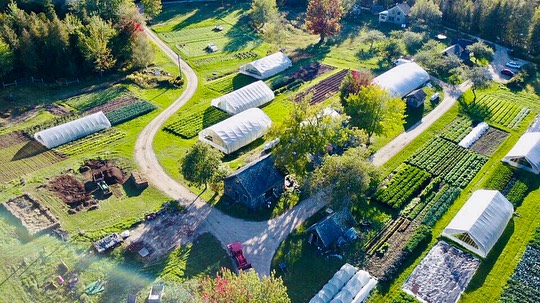 📣Annoucement📣
We are seeking an experienced farming couple to operate their own organic farm business at Four Season Farm for a lease period of up to 10 years with option to extend as agreeable to all parties. Formal lease arrangement will be created with the selected candidates in collaboration with Land For Good.
Visit ‘Work with Us’ on our website or the link in bio for candidate qualifications & application process.
Offer: A turn-key farm operation with existing infrastructure necessary to operate a 1.5 to 3-acre diversified, year-round, RealOrganic vegetable business operation. Sales include established direct wholesale relationships with local area co-op grocery store & restaurants, popular seasonal onsite farm stand, & opportunity to expand to new markets & sales outlets. The lease farm footprint is 7 acres, which includes all the present vegetable crop land. The total farm property is 40 acres with approximately 14 acres of that in pasture, field crops, buildings, greenhouses, residences, & other farm infrastructure surrounded by a 6-foot deer fence.
Background: Purchased from Helen & Scott Nearing in 1968 and owned by farmers & writers Eliot Coleman & Barbara Damrosch, Four Season Farm is an internationally recognized model of small-scale year-round sustainable agriculture. For the last seven years, the farm has been managed & operated by Eliot’s daughter, Clara Coleman @farmerclara
Infrastructure:
* 9 greenhouses - 7 moveable & ranging in size from 36’x96’ to 22’x48’
* Wash/pack area & walk-in cooler
* Seasonal farm stand
* Commercial kitchen w/bathroom
* Barn w/Coolbot walk-in cooler
* Two bedroom/one bath apartment w/farm office
* Three small rustic housing units for workers
* 100 GPM drilled well
* Irrigation pond
* Work shop
* Two root cellars
Equipment:
* Two tractors - John Deere 870 & Kubota 4400
* Delivery van - Ram Pro-master 1500
* Rotary tiller
* Chisel plow
* Potato harvester
* Under-cutter
* Sub-soiler
* Flail mower
* Brush hog
* Hay rake
* BCS walk-behind tractor
* Jang seeder & other precision seeders
* Wheel hoes
* Wide assortment of hand tools for cultivating, sowing, transplanting, harvesting, soil blocking
#fourseasonfarm