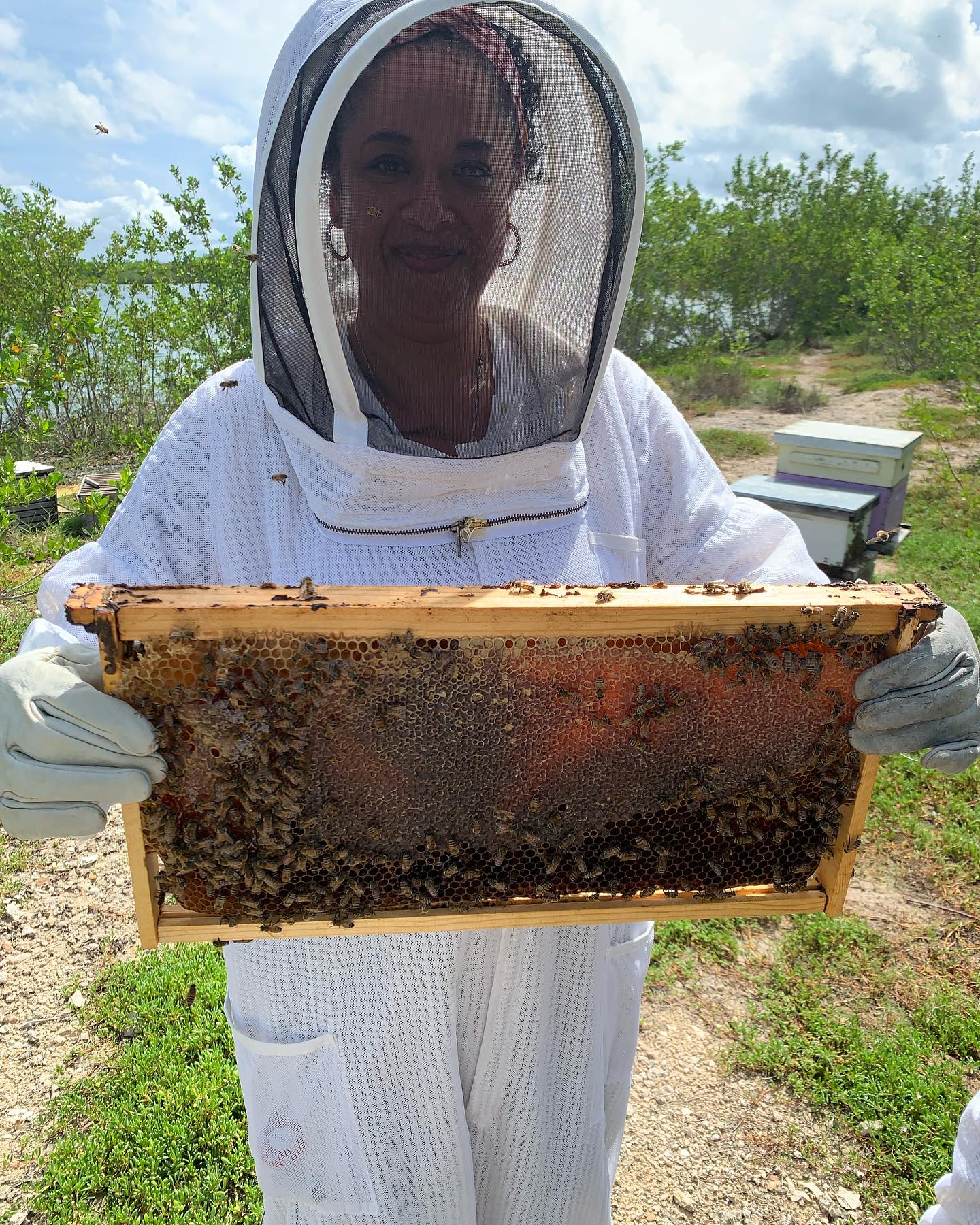 #BeekeepingAdventures #bees #honey #beekeeper #vacation #experience