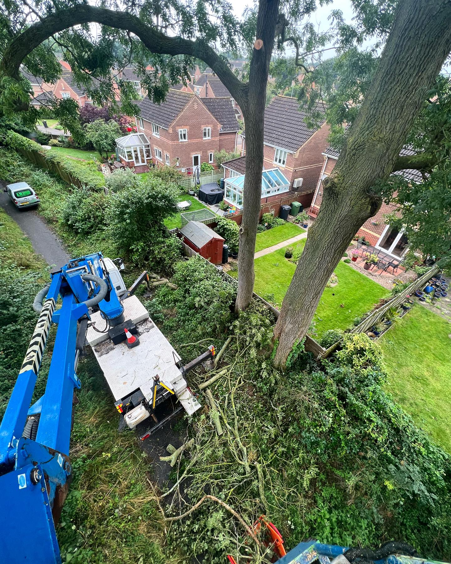 Deadwooding some large Ash trees. A massive thank you to Ben at Tree Hopper tree services for the MEWP, whilst ours was out of action. 🌳🪵 👷🏼♂️ #amgroundmaintenance #norfolk #norwich #norwichbusinesses #norfolkbusinessnetwork #norfolkbusiness #arb