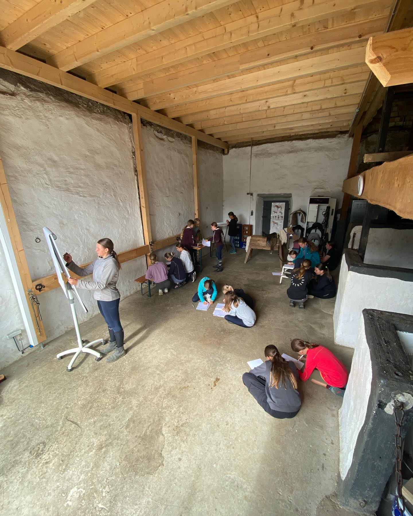 Theorieunterricht für die Reitabzeichenprüfungen 😃