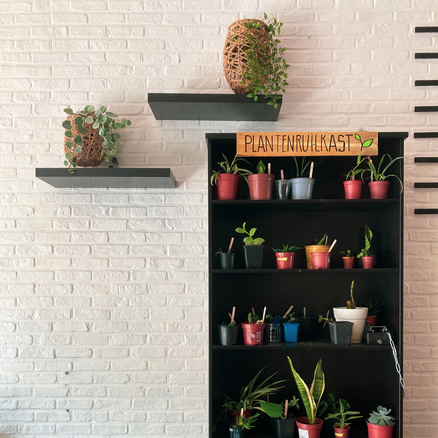 Dat we bij Moktamee van plantjes houden wisten jullie waarschijnlijk al. Maar onze liefde is zo groot dat we ze graag delen.
Vanaf nu kunnen jullie er ook een plantjes/stekjes ruilen of meenemen voor een kleine donatie.
We vragen ook om op een paar dingen te letten:
🌱 Laat enkel goed gewortelde stekjes achter.
🌱 Label je plantje met naam, of gebruik onze labelhoutjes. Zo kan de nieuwe eigenaar snel info vinden over zijn nieuwe huisgenoot.
🌱 Zelf geen plantje om te ruilen? Met jouw donatie in het geldpotje houden we de plantenruilkast draaiende.
🌱 Enkel stekjes en planten uit deze kast mogen meegenomen worden. Heb je interesse in een andere plant, mag je contact opnemen met @katrin.smets of spring binnen in het keramiekatelier @kostbaar_goed .
We zijn benieuwd waar al onze plantjes terecht komen, tag ons in je plantenfoto's.
Je kan ons ook terug vinden op FB : https://www.facebook.com/groups/moktameeplantenruilkast
#moktamee #décreativehubvandekempen #herentals #plantenbib #plantenruikast #plantenryilen #stekjeskast #groenevingers #stekjesplant #plantenliefde #stekjesbib #plantenruil #ruilkast