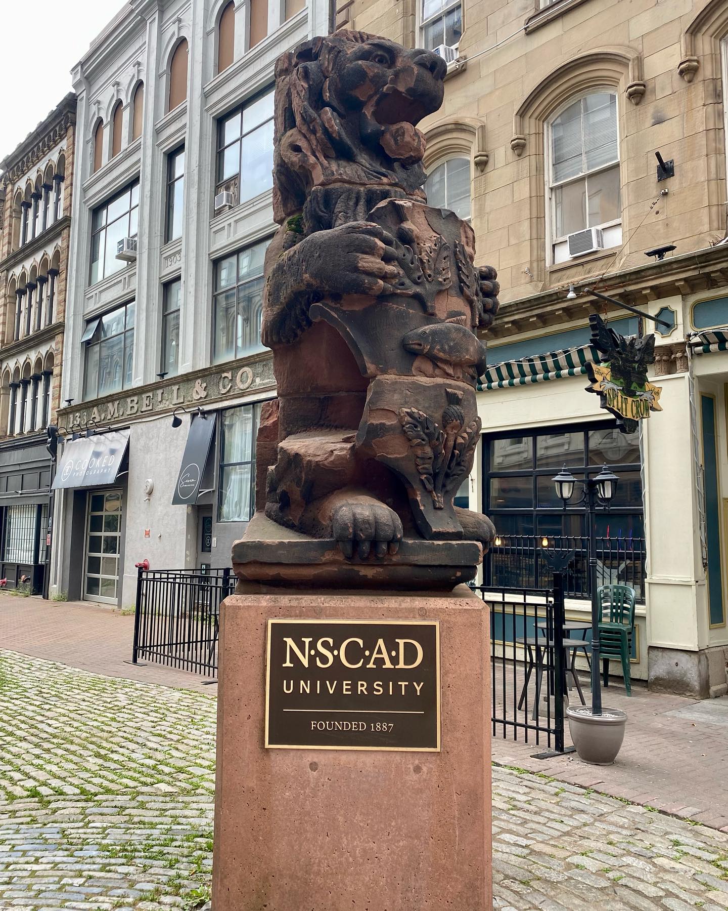 A new adventure has begun! 🤩👩🏻🎨👩🏻💻🥳 @nscaduniversity #postgraduatelife #backtoschool #pampeliskadesign