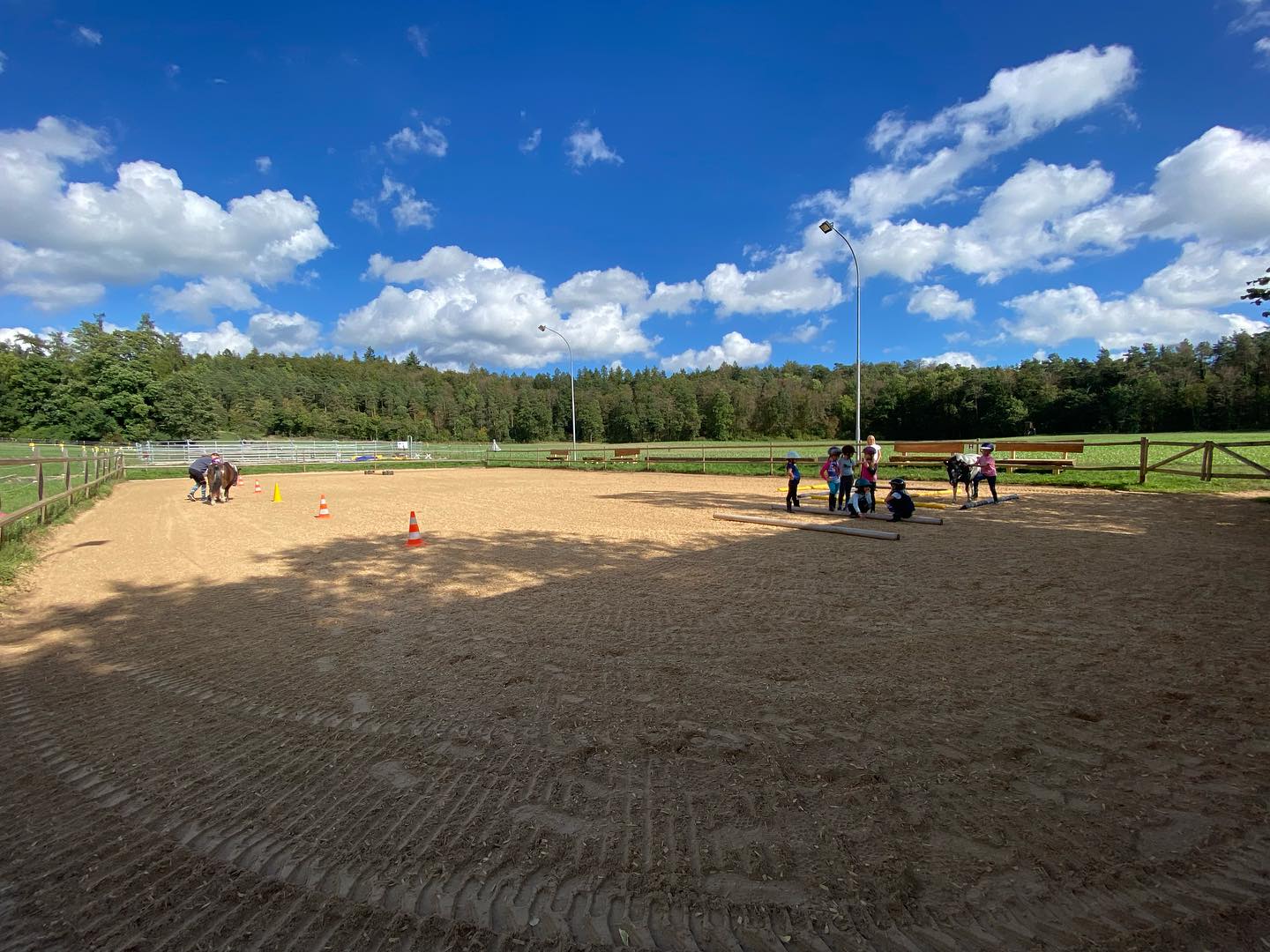 Führtraining und Konsequenz…auch für die Kleinen. Grundkurs #Reiten 6-8 jährige Kids. #pferdeschule #hegau