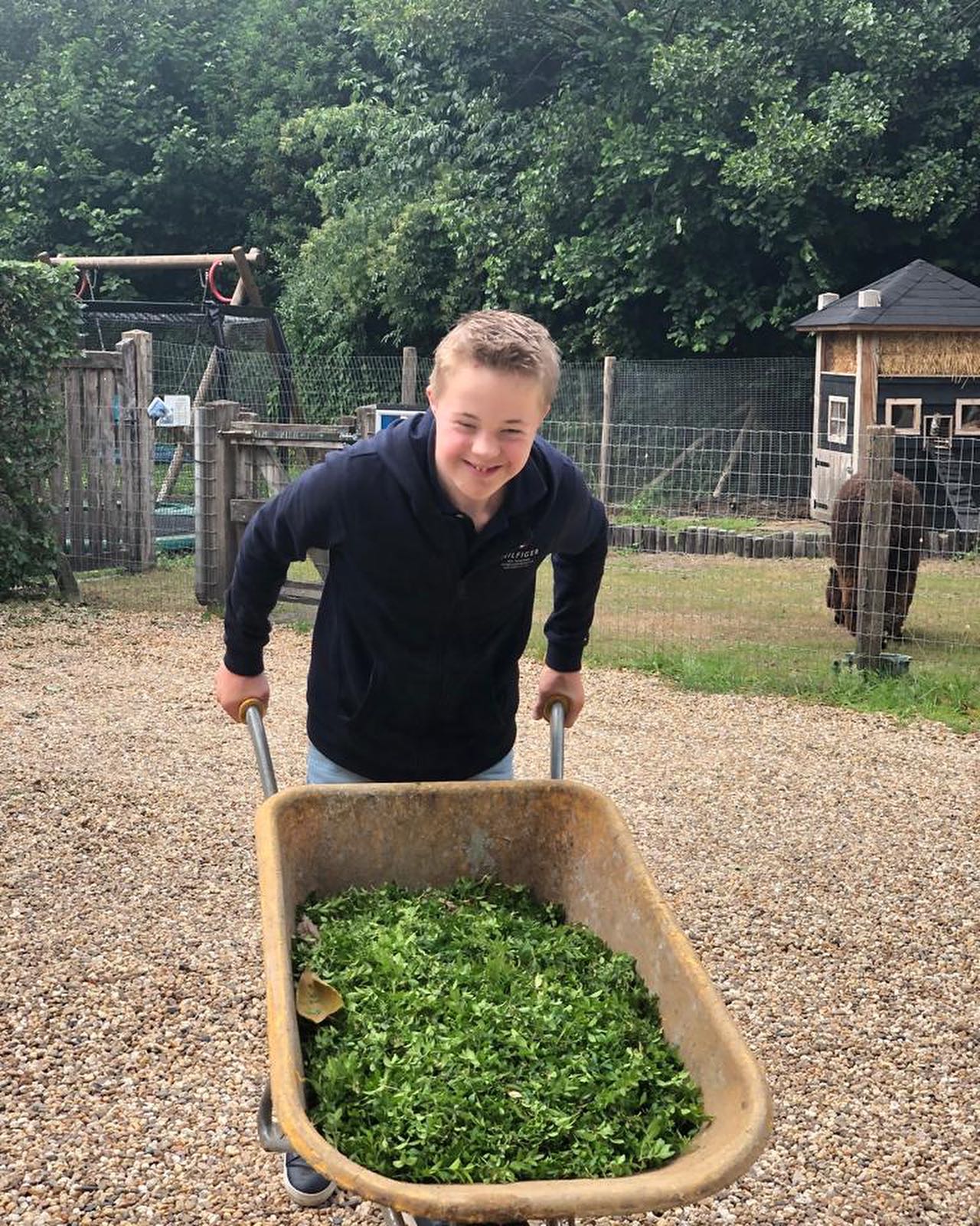 Er is altijd genoeg te doen in en rondom de boerderij, hier genieten onze deelnemers zichtbaar van. En moet je zien hoe hard ze werken! 💪🏼
#zorgboerderij #grootmiddendorp #buitenwerken #dagbesteding #zinvol