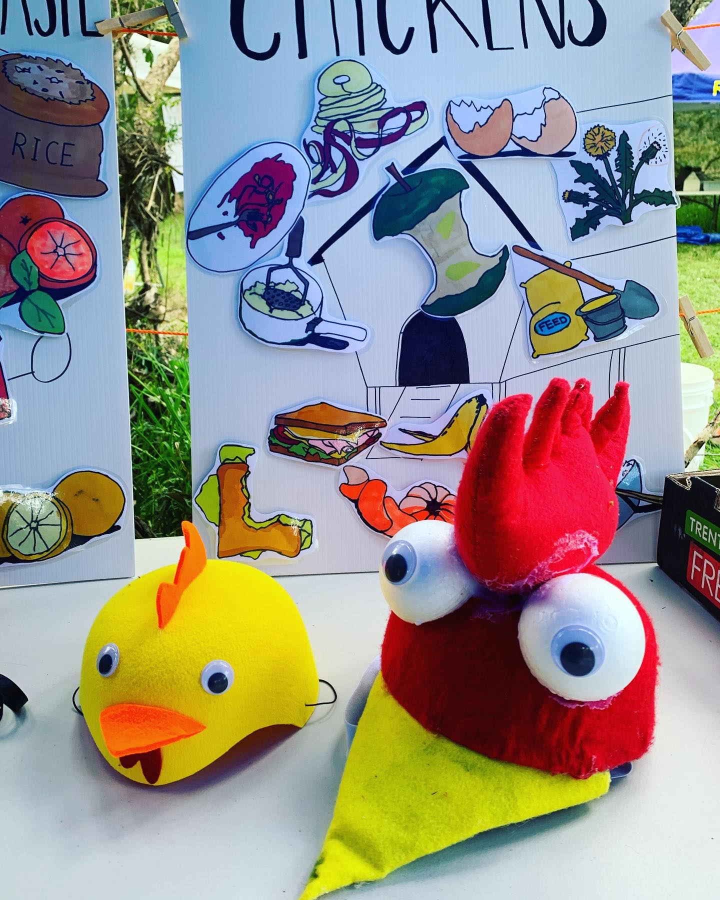 We checked out the Kids Teaching Kids presentations at @yeawetlands a couple of weeks ago. Great projects researched & delivered by primary school kids to each other on environmental issues. Tune in Thursday at 10am or Saturday 9am for the repeat on @seymourfm103.9 #kidsteachingkids #ourfutureisbright #nudefood #chickensatschool