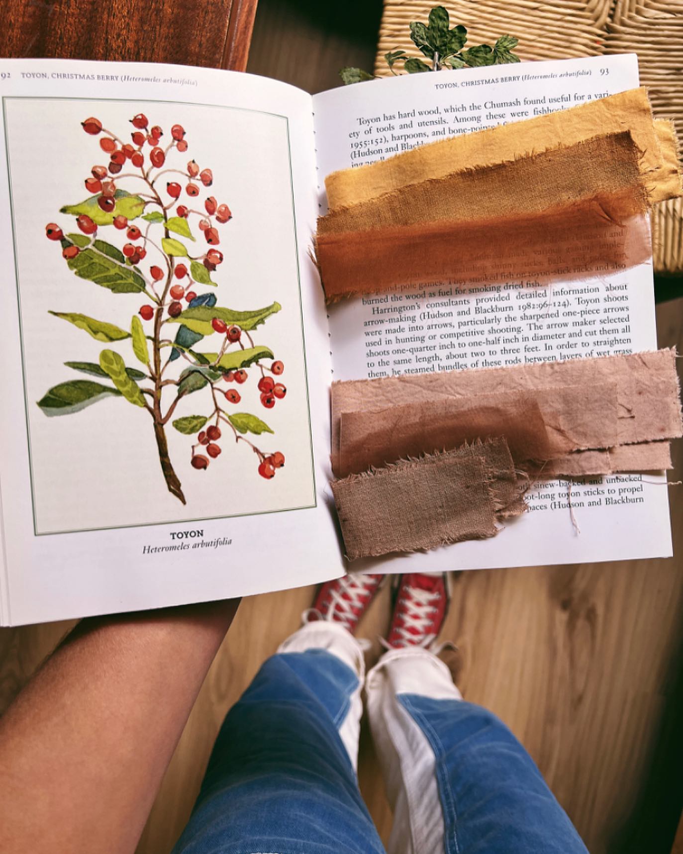 We had 2 spots that became available for tomorrowโs workshop!
CA Native Plant Dye Workshop w/ The Dogwood Dyer @thedogwooddyer
Get to know the colorful bounty that your local area has to offer by working with native plants grown nearby with The Dogwood Dyer at Moosa Creek Nursery in Valley Center, CA. @moosacreek
Natural dyeing can be fun and fulfilling and the experience of using seasonal and regionally relevant plants as opposed to pre-extracted and imported powders provides a real connection to this age old process and the local land from which they come.
Students will come away with an understanding of natural dyeing with fresh raw dye stuffs, including the variance of color results from working with different parts of the plant as well as hue and depth change depending on process variables, chosen natural pre-fixatives and extraction environment.
Additionally, we will have a CA native plant sale towards the end of the workshop where each participant will receive 20% off their plant purchases. Many of the plants available for purchase will be the ones we will be personally working with during the workshop.
Find event link in our profile. ๐ฑ๐จ
#naturaldyes #canativeplants #localcolor #plantdyes #thedogwooddyer #moosacreeknursery