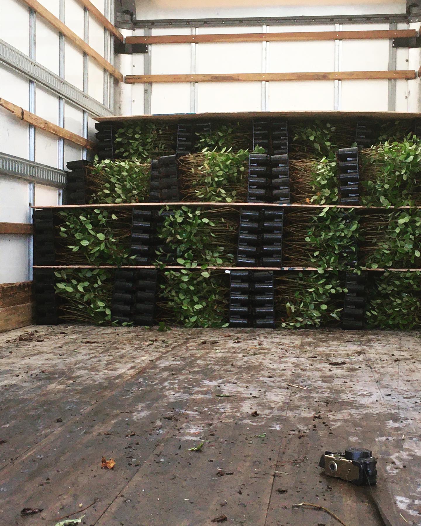 Grosse commande aujourd’hui : 18 000 végétaux s’en vont s’enraciner dans de nouveaux sols. 🏜️
#pepinierenorthhill