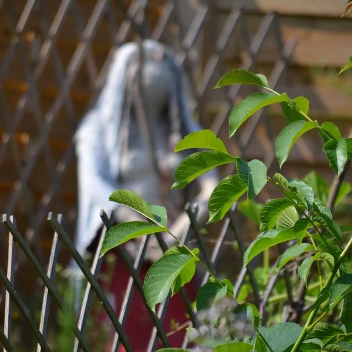 Glaubenssätze auflösen.
..manchmal kommt vor, dass wir wo landen, wo andere uns wenig zutrauen. Eventuell hörtest du dies als Kind immer wieder oder es wurde dir sonstwie vermittelt; und zwar so lang, bis du es selbst geglaubt hast. Eventuell trägst du diese falschen Glaubenssätze noch immer mit dir mit und sie halten dich davon ab, voll durchzustarten und an dich selbst zu glauben.
.
Wenn das so ist, dann löse diese Dinge auf: sieh in den Spiegel und lächle dich an! Du bist wertvoll! Du bist toll! Du bist schön! Du bist genug! Dieses Leben ist ein Geschenkund du bist hier, um das Beste für dich draus zu machen!! Du musst nicht die Träume deiner Eltern leben und du musst aber auch nicht in ihre negativen Fußstapfen treten! Du bist frei und darfst entscheiden, was FÜR DICH gut passt! Trau dich drüber und lass Gedanken zu, die dir zeigen, WAS DU gerne magst! Denk drüber nach, was dich wirklich interessiert und was du gerne erreichen möchtest! Und dann mach dir einen Plan und schau, wie du dort hin kommst! Nutz dein Netzwerk und mach Deals mit dir selbst, an die du dich auch hältst! Von nichts kommt nichts - und Leistung an sich ist etwas Gutes! Durchhaltevermögen ist etwas Gutes! Ehrgeiz ist etwas Gutes!
.
Setz dir realistische Ziele und bleib dran an ihnen! Sauge deine Erfolge auf und nähre dich daran! Mach sie zu deinem Motor! Blicke auch zurück auf das, was du schon geschafft hast - nicht auf das, was misslang - außer in dem Sinn, dass du dich verbesserst und lernst, anstatt an dir zu zweifeln und dich selbst zu verurteilen! "Fehler" sind keine Rückschritte! Sie bedeuten stehenbleiben! Und von dort geht es dann weiter!
.
Ich wünsch dir Mut, dich von falschen Glaubenssätzen zu befreien und deinen eigenen Weg zu gehen! Denn das ist in erster Linie d ei n Weg! <3 <3
Komm in meine Facebook Gruppe > heartsisters > - dort findest du viele neue Kontakte zu tollen Frauen ! 💃🏼💞👩🏼🤝👩🏻 https://www.facebook.com/group
s/zauberbandheartsisters/?ref=share
#zauberband #heartsisters #frauenpower #sisterhood #beyou #empowerment #katrinsander #healyourtrauma #femalepower #Selbstverwirklichung