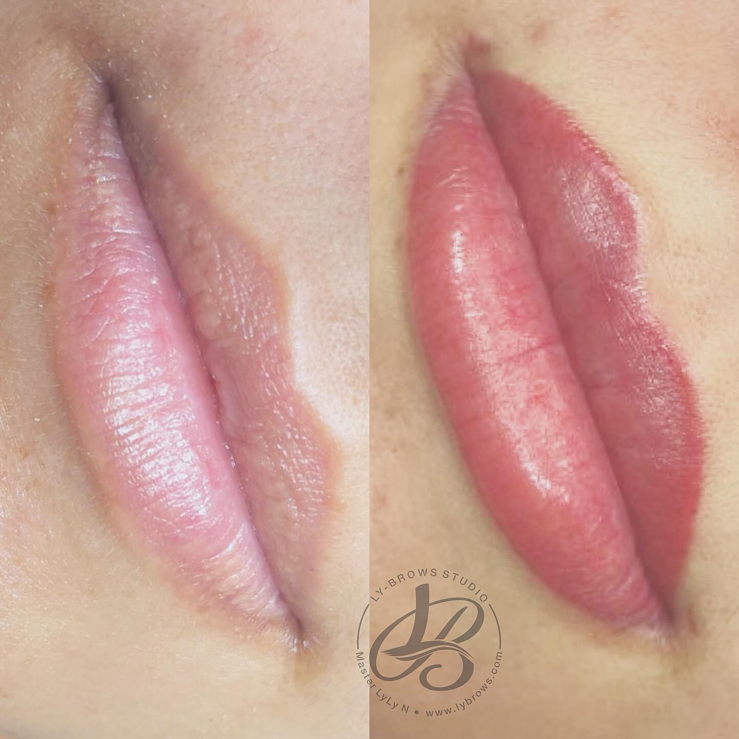 Natural lip blush color ..
.
.
#lip #lipblush #tattooshop #tattooartist #lybrows #lybrowstudio #dmv #dmvtattoos #permanentlips #pmupermanentmakeup