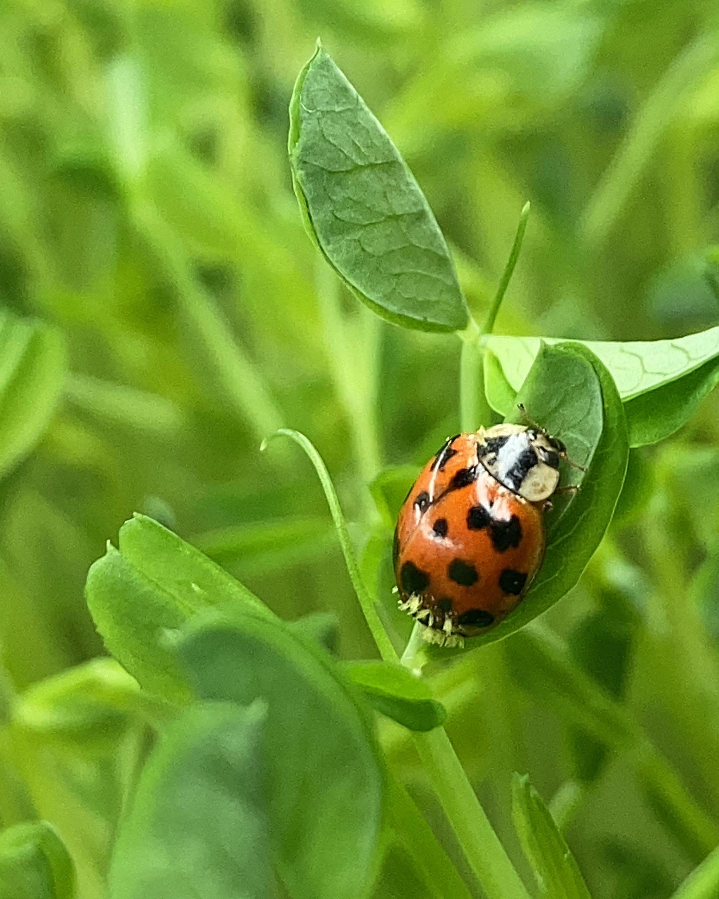 A sign of good luck and good fortune?
We’ll take it! Hope everyone had a beautiful weekend.