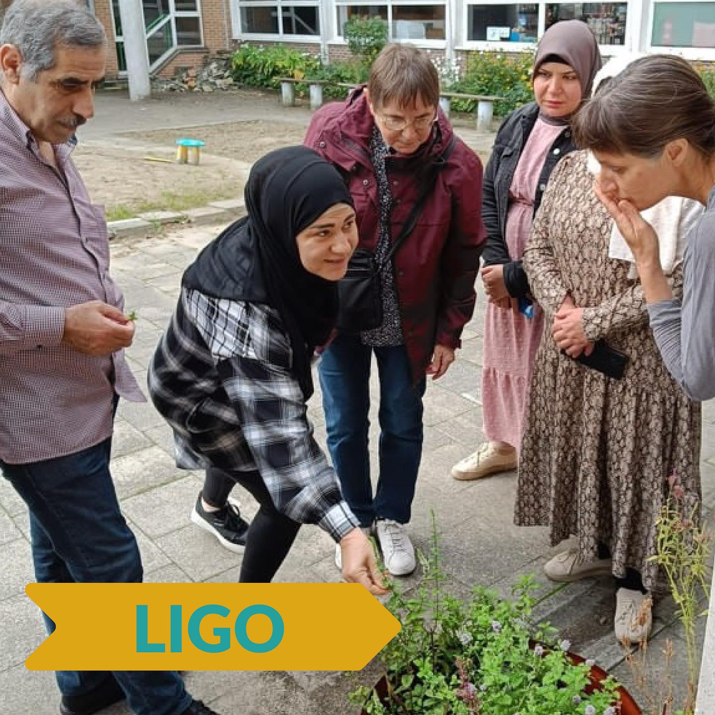 We hebben weer nieuwe bewoners. @ligokempen geeft vanaf dit jaar les bij ons. Katrin van @kostbaar_goed gaf hen al@een rondleiding in de kruidentuin. Ongetwijfeld volgen er nog leuke kruisbestuivingen!
.
#moktamee #decreatievehubvandekempen #creativecommunity #communitybuilding #makerscommunity #kruidentuin