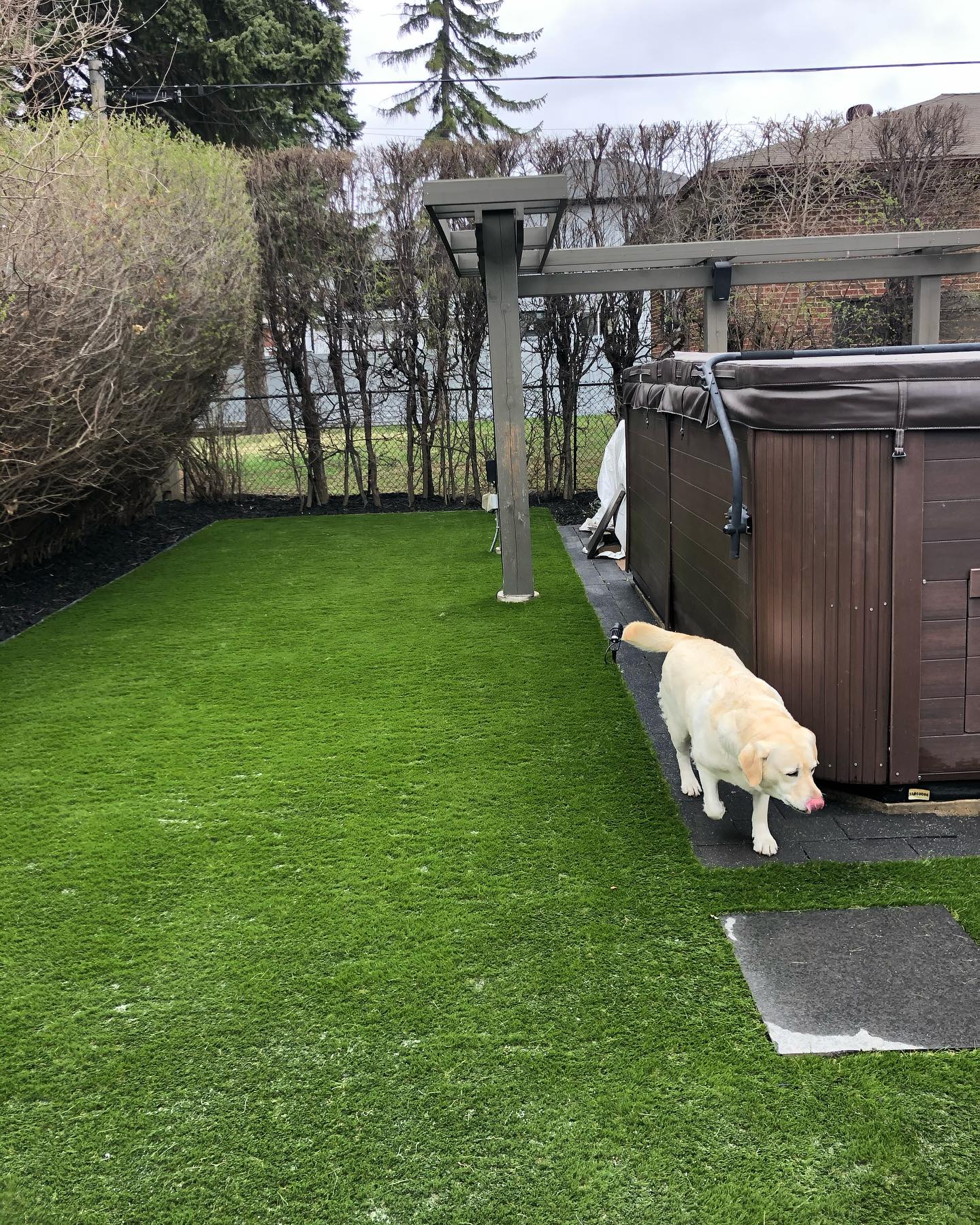For the dogs 🐶 🌱 #nevermowagain #nomoremud