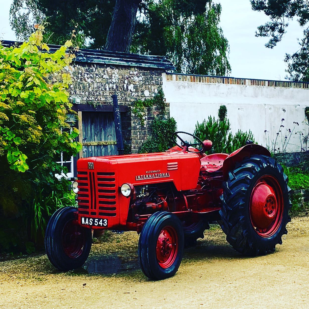 We would like to welcome Reginald to the 2023 Xmas Tree Boys team.
Reggie will be towing our sleigh to homes across Brighton & Hove, helping Santa and his elves deliver Sussex grown Nordmann non-drop Trees.
Only two days until the website goes live!
www.thexmastressboys.net