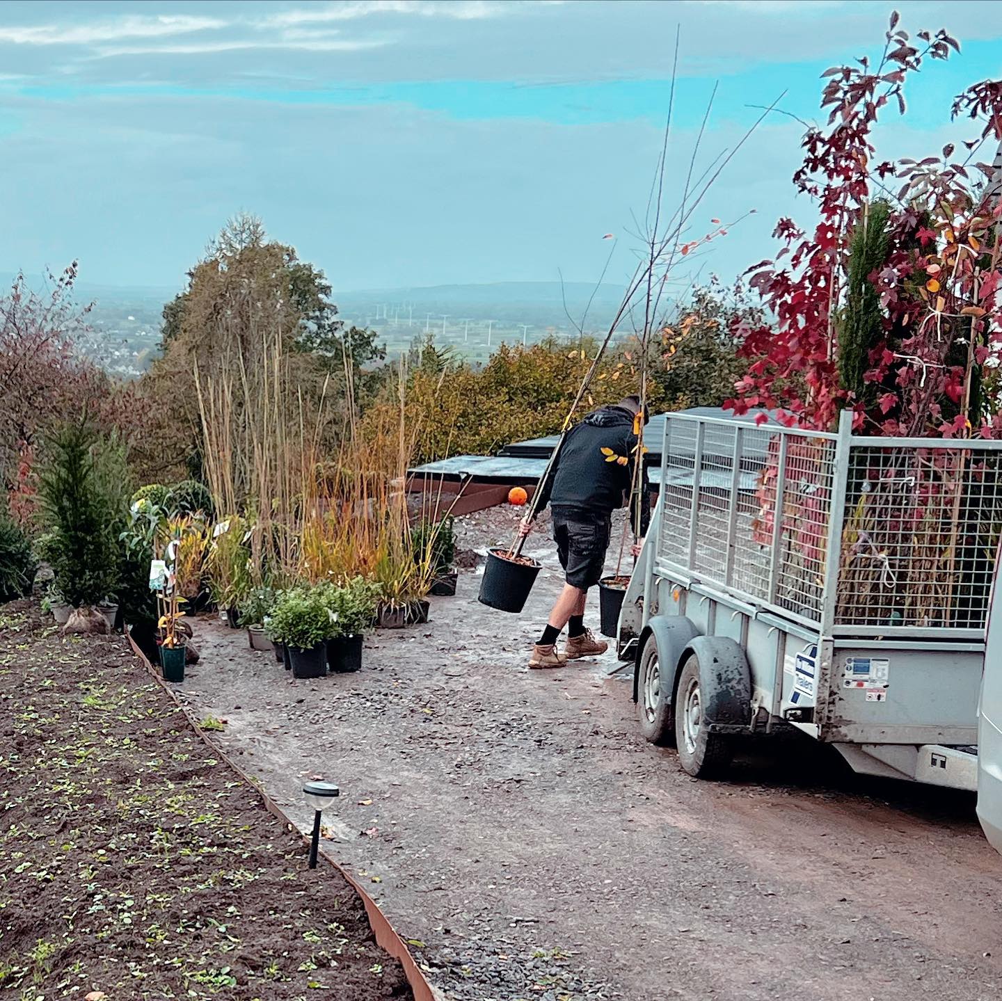 Right now is a great time to get planting in readiness for spring..
Think spring bulbs, summer bulbs, perennials and trees, trees,trees oh and hedges!!
#plantingproject
#gardendesign
#landscapegardening
#landscapegardener
#gardenmaintenance
#gardeninspiration
#treeplanting