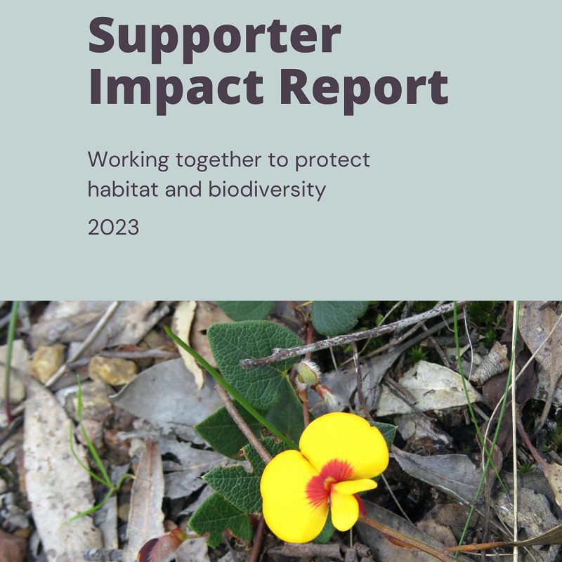 We're very excited to provide our Supporter Impact Report for 2023 highlighting our activities and achievements. Read about our nest box program, feral animal control, fauna cam, orchid reintroduction program and more. There's even news of a new species found on the Co-op.
Go to our website to download the Report.
roundthebend.org.au > News
#roundthebendconservationcooperative #privatelandconservation #conservation #protectnature