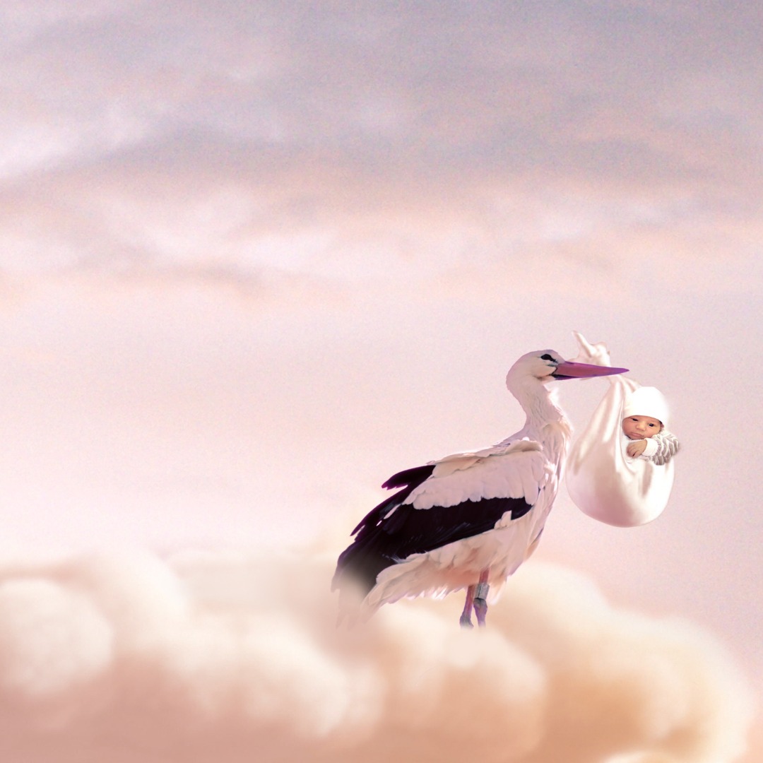 Les points d’ouverture de la porte des bébés :
Devenir parents…Une étape dans la vie d’un couple qui peut parfois mettre malheureusement du temps à s’incarner…😞
Il existe de multiples raisons pour qu’un enfant ne vienne pas : problématique physique avérée, traumatisme psychologique et parfois on ne comprend tout simplement pas... 💉
Le parcours pour les futurs parents peut être un véritable champ de mines avec son lot d’épreuves et de difficultés à surmonter. ✨
La médecine Chinoise apporte des solutions pour que la poussière d’étoile qu’est le fœtus s’incarne, et pour que la matrice (future maman) lui fasse de la place. 👶
Notre approche globale, le travail des points de la fécondité et un protocole spécifique « de la porte des bébés » donnera toutes les chances à l’accueil d’un enfant. 💕
#keikoshiatsu #shiatsulyon #bienetrelyon #doinlyon #aromatherapielyon #massagelyon #santenaturelle #huileessentielles #energetiquechinoise #medecinechinoise #acupression #developpementpersonnel #sérénité #psychologiepositive #formationaromatherapie #holistique #soinénergétiquelyon #santemental #formationmassage #formationlyon #bébés #pma #infertilite