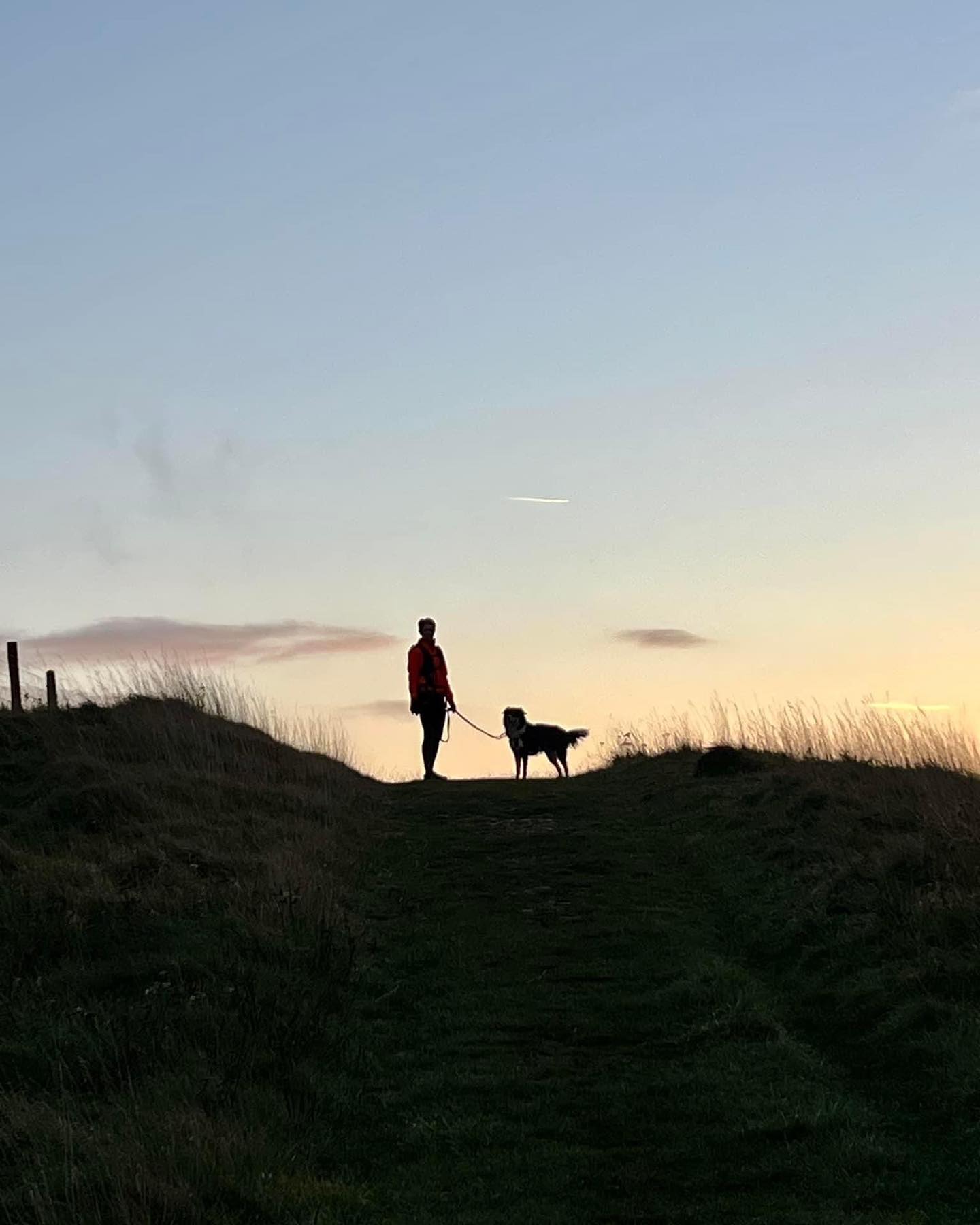 Fun in the sun this week. #autumncolors #canicross