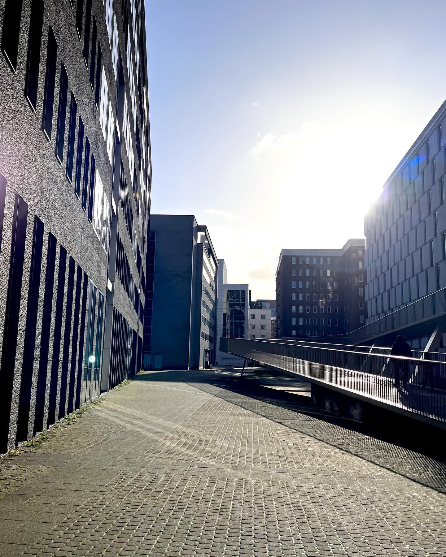 Clean shot 👌🏼 #antwerp #belgium🇧🇪
.
.
.
On our way to do a shot on the bridge - my head turns right as the sun drops its rays on our beautiful city 🌇.
In my head, I’m like a second or two there’s the question every photographer probably gets 😂 “Should I…?” AND I SHALL! Thank you smartphone for existing. Sorry camera, it had to be quick. I end up loving this urban shot 🤩
It’s the little things- it’s always the little things… 💖
#city #antwerp #urban #urbanphotography #sun #banana #iphone #mobilephotography #quickshot #vibes #weekend