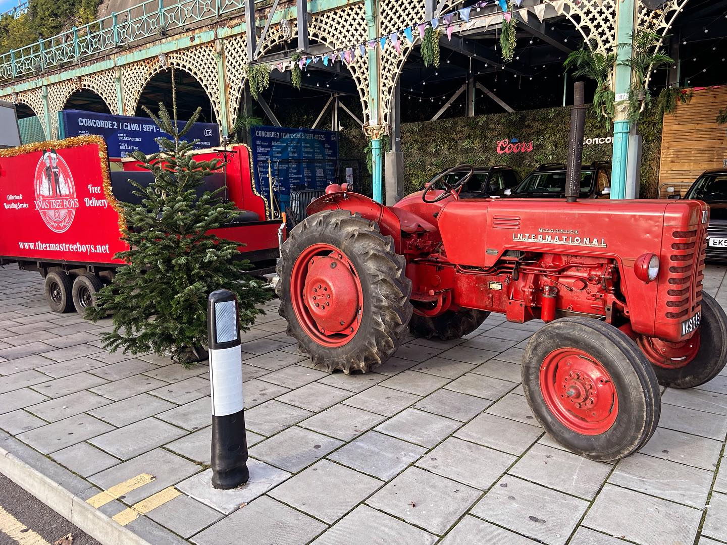 Meet Reginald, part of the delivery team who will work tirelessly to deliver your Christmas tree in one piece 🚜 🌲