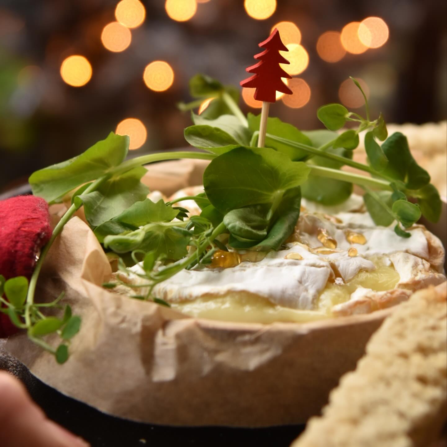 Heyyyyyyy CAMEMBERT CHAUD miel avec son pain maison grillé 🧀🧀🧀 un délice hivernal à savourer entre amis dans notre jardin d’hiver ! Toi aussi tu craques pour ça ?
▶️ vient nous rejoindre du jeudi au mardi chez Édouard
🎄
🥂
🎅🏼
#camembert #camembertaufour #cheeselover #cheeseplatter #hotcheese #christmas #christmasmood #localfood #foodporn #foodshare #durbuy #durbuylovers #edouardgardencafé
