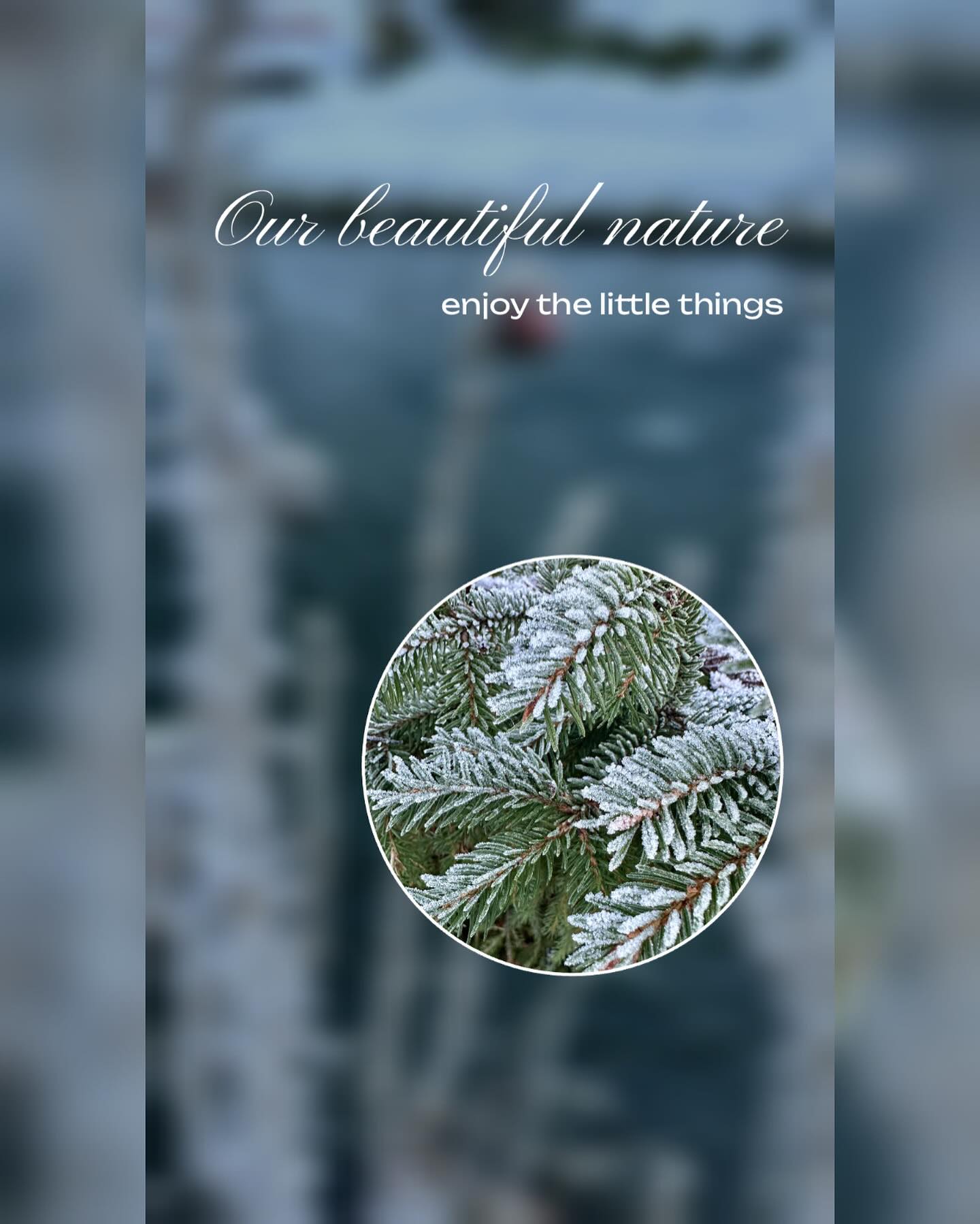 Today on our daily walk we were fascinated by small frosty details. ✨🫶🏽
.
.
.
„To appreciate the beauty of a snowflake it is necessary to stand out in the cold.“
- ARISTOTLE ✨🫶🏽❄️
#winter #chalet #familie #wildschönau #kitzbühleralpen #skijuwel #sommer #winter #wildschoenaucard #niederau #oberau #auffach #thierbach #familie #aktivitäten #chaletwildschoenau #chaletniederau #spaß #freude #genießen