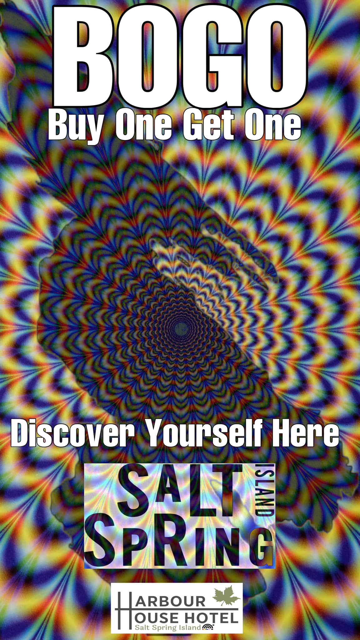 Our🎁Festive Gift🎁to YOU!
Direct BOGO savings only until the end of the year. Goodbye 2023…
Hello 2024 Travel Savings!
➡️Book directly on our website📱 in a Deluxe King or Double room, for 2 night stay between January 1st until March 31, 2024 ⬅️
👉🏼💲Pay for just the first night receive the second consecutive night free!💲👈🏼
This travel deal only available on www.Saltspringharbourhouse.com
#harbourhousessi #islandlife #BOGO #boxingday #travelmore #southerngulfislands #TravelDeals #giftofgiving