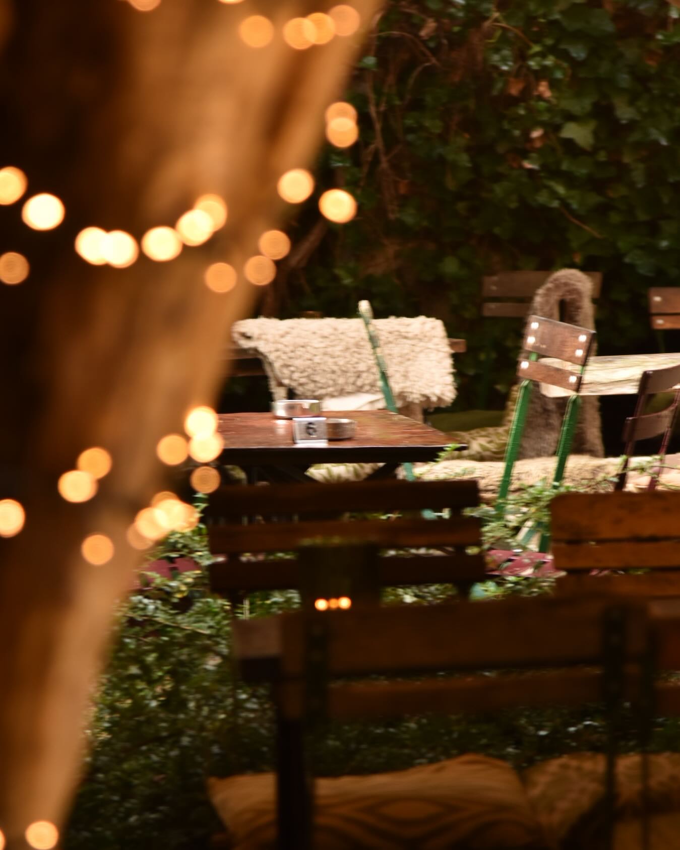 J-3 avant le réveillon de Noël 🎄🎄🎄
Notre terrasse illuminée vous accueille pour un moment agréable dans une ambiance festive ! Les bulles sont au frais et le chocolat chaud en préparation !
Rue des Récollectines, 7 6940 Durbuy 🎄
♥️
📍#terasse #christmaslights #christmastree #christmasdecor #edouardgardencafé #durbuybelgium #durbuy #jardindhiver #eatlocal #fellinggood #christmasiscoming #bardecoration #beautifulplace 🎄