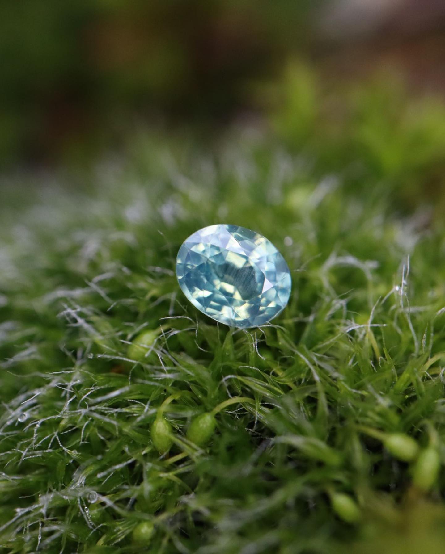 ❄️✨CONCOURS SURPRISE ✨❄️
Nous avons une surprise ! Afin de vous remercier pour cette merveilleuse année, nous vous proposons de gagner un Saphir d’Auvergne à l’issue d’un concours !
Le gagnant sera tiré au sort le 7 janvier 2024 !
Le saphir à gagner est un magnifique petit ovale de 0,29 carat d’une valeur de 200€ (dimensions : 3,53 x 4,40 mm, hauteur : 2,28 mm).
Pour participer au concours :
- S’abonner ou être abonné à @gemglaz
- Aimer ce post
- Partager ce post en Story
- Identifier 2 personnes en commentaire
Bonne chance à tous et rendez-vous le 7 janvier 2024 pour découvrir le nom du gagnant ! 💫