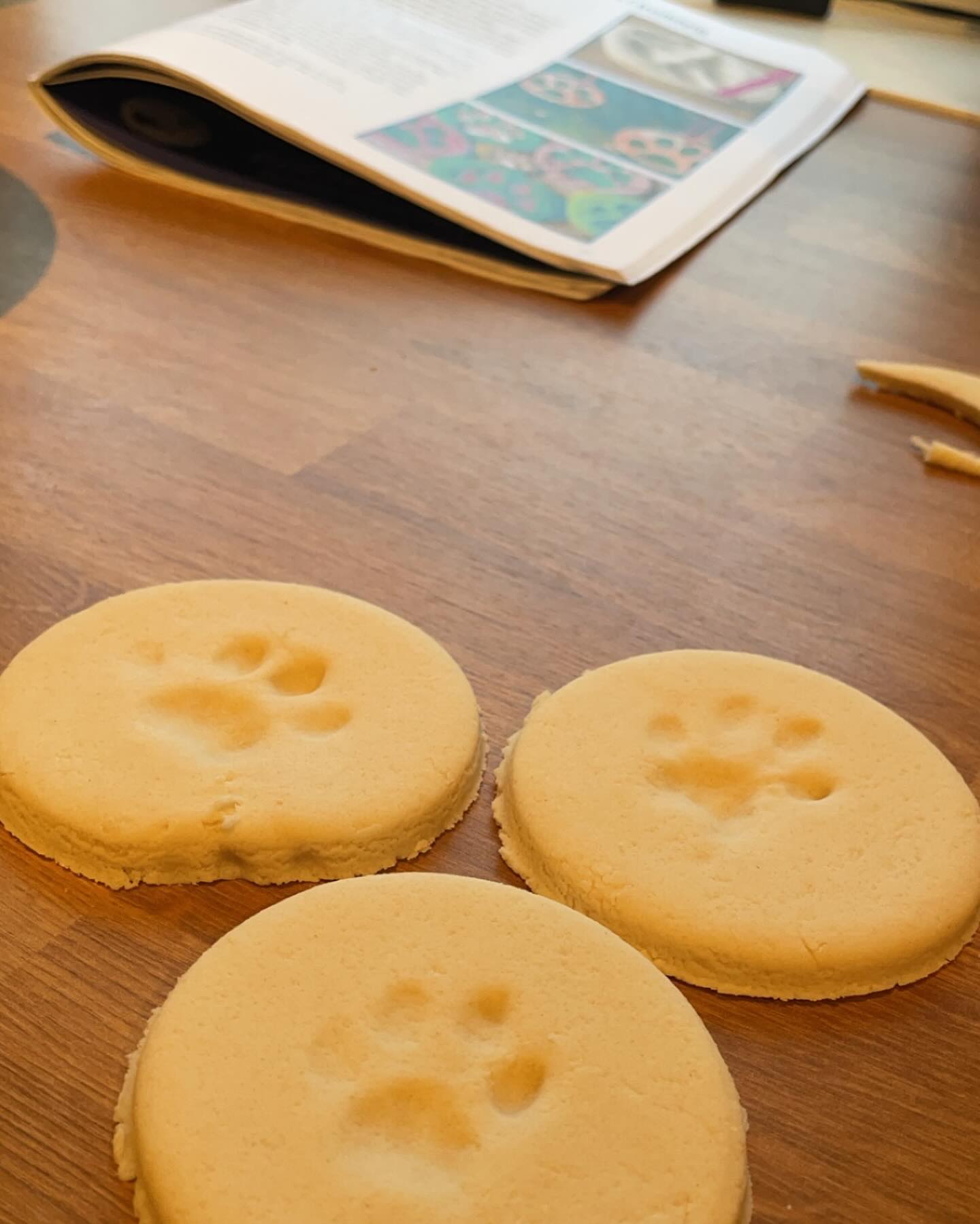 Stor takk til Norske Birmavenner som postet oppskrift på trolldeig 😻 Nå har alle tre lagd egen julepynt for i år 😻 #fancyfriday #felinefriday #sacredbirman #birman #birmancat #fluffy #longhair #helligbirma #lilacpoint #sealpoint #colourpoint #colorpoint #whitecat #blueeyes #blueeyedcat #birma #catsoninstagram #catsofinstagram #cats #cat #catsoftheworld #catsagram #catoftheday #kattensrollsroys