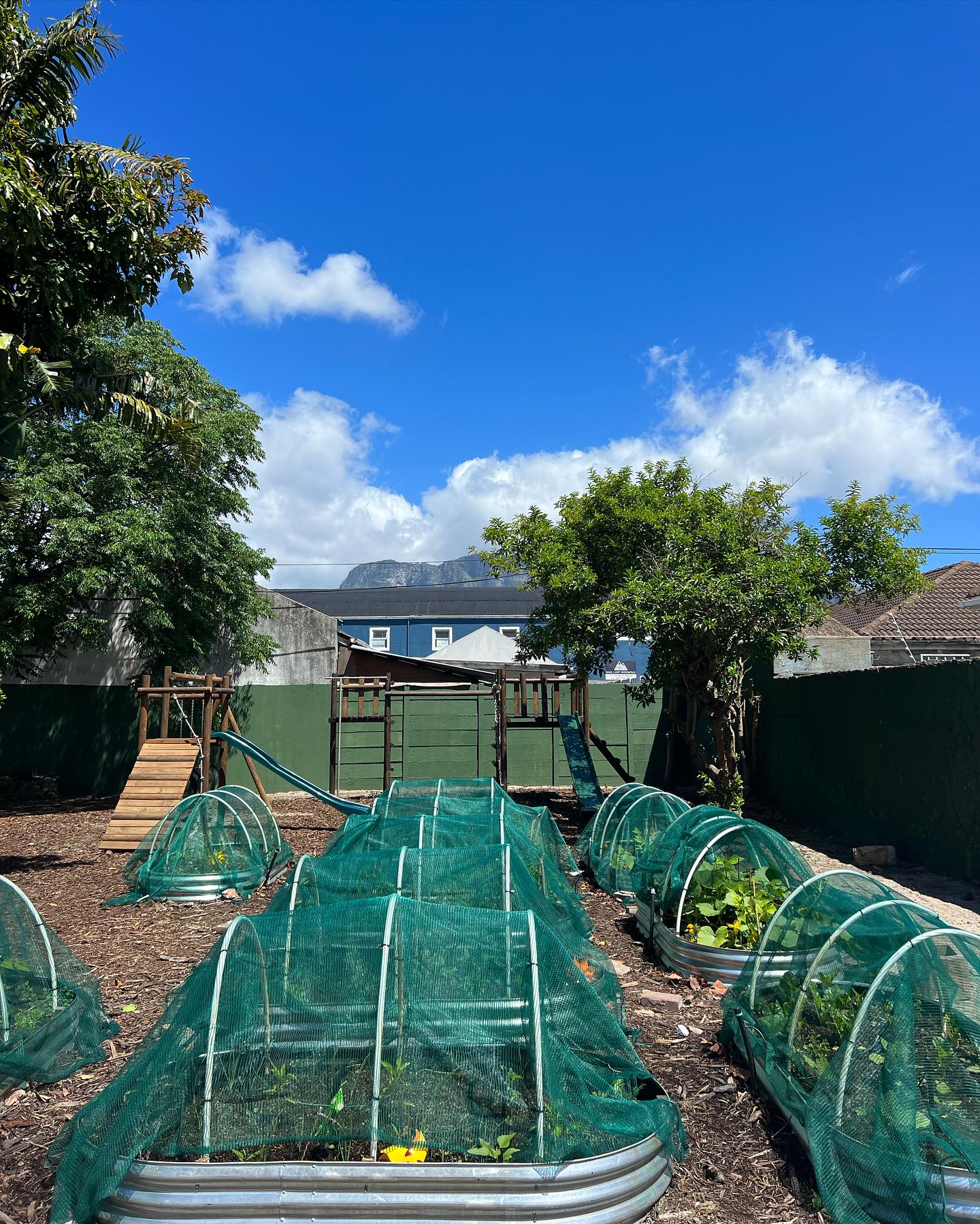 Thrilled to witness the fruits of our collaboration with @thesprightlyseed in Lansdowne, South Africa! 🌱✨ Together we have planted the seeds of change by supporting an early development center with a brand new food garden, ensuring these bright young minds have access to nutritious food and a promising future. 🍓🥦
Making a difference, one garden at a time! 💚💫
#foodsecurity #communitydevelopment #earlychildhooddevelopment #foodforall #africaaweee #thesprightlyseed