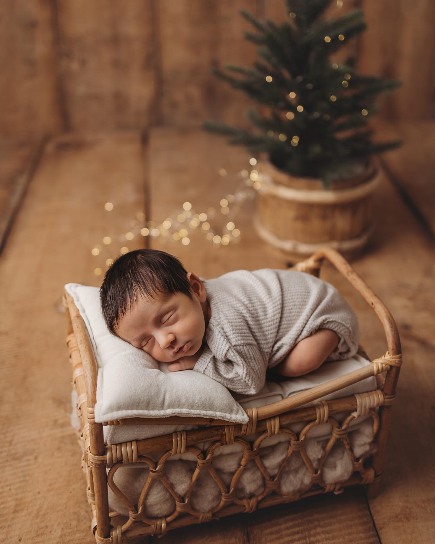 Frohe Weihnachten 🎄✨
#christmas #merrychristmas #froheweihnachten🎄 #newborn #newbornphotography #neugeborenenfotograf #neugeborenenfotografie #neugeborenes #babyboy #baby2024