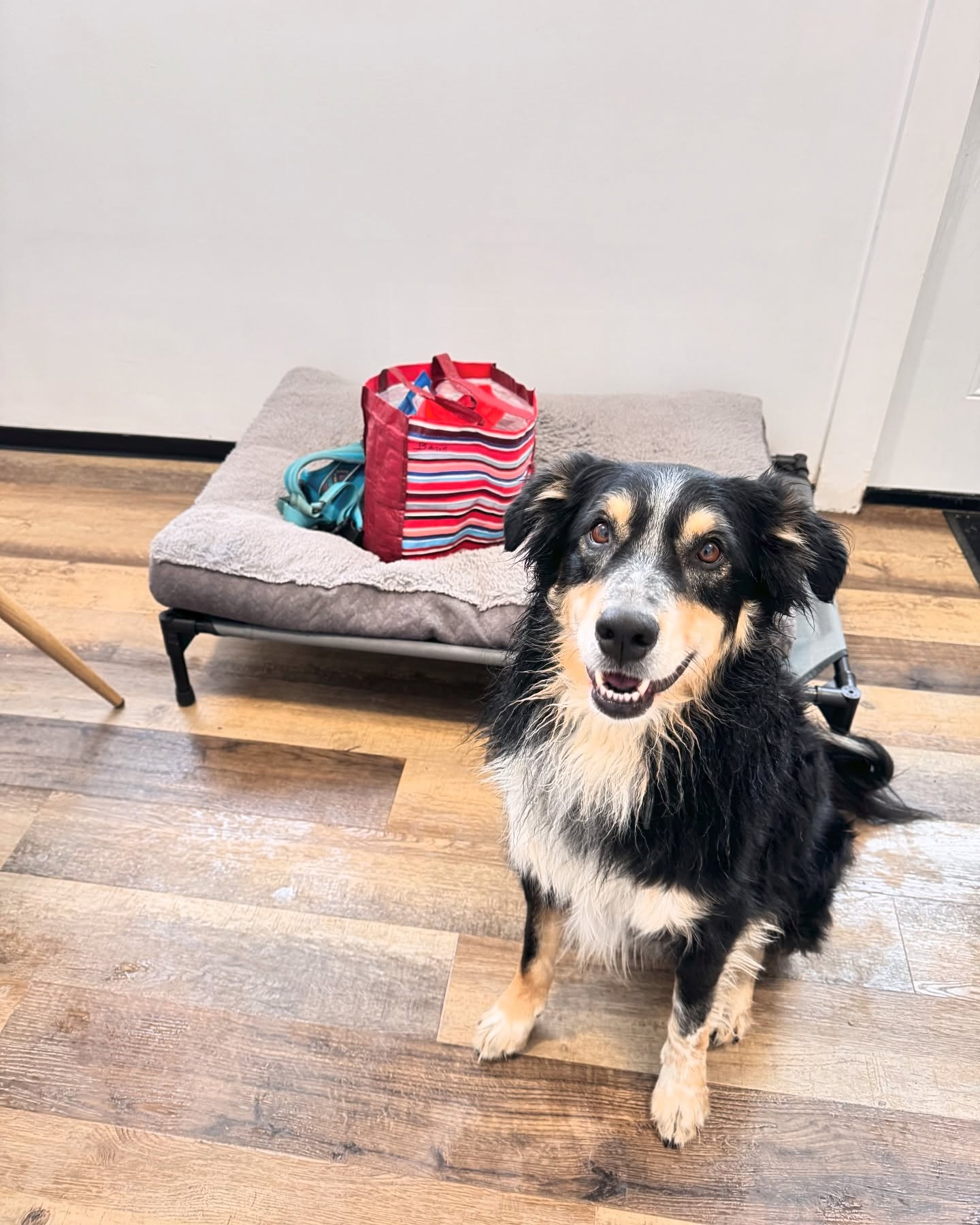 Fritz’s bags are packed but he’s not ready to go! A little soggy from all the slobber but that means good times where had out here at RTB ❤️