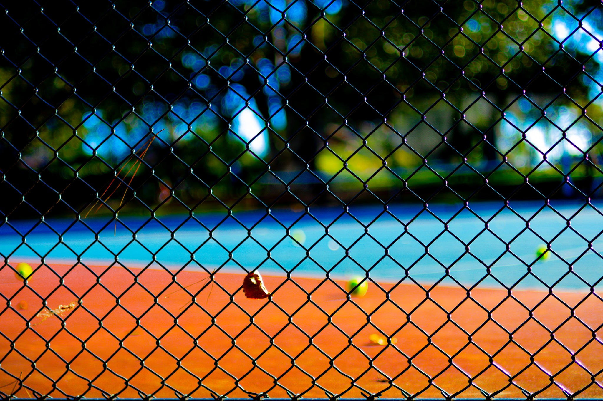 Tennis Season in Melbourne with AusOpen 2024 underway
#Melbourne #tennis #summer #citynights #ausopen2024 #australianopen #australianopen2024