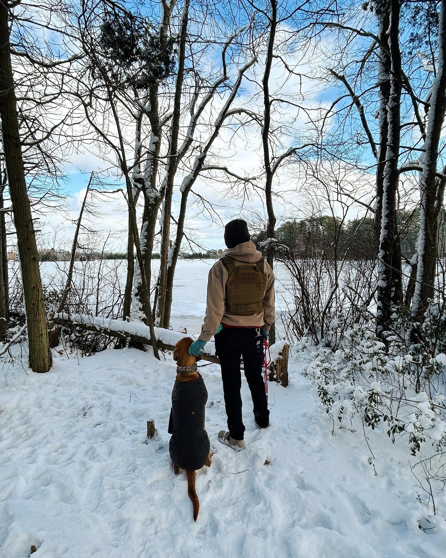 🕊️
Man is as much attached to nature as a tree, and though he walks freely on two legs and is not rooted in the soil, he is by no means a self-sufficient, self-moving, and self-directing entity. For his life he depends absolutely on the same factors as the tree, the worm, and the fly, on the universal powers of nature, life, God, or whatever it may be. From some mysterious source life flows through him unceasingly; it does not just go in at birth and come out at death—he is the channel for an ever moving stream, a stream that carries the blood through his veins, that moves his lungs and brings him air to breathe, that raises his food from the earth and bears the light of the sun to his face. If we look into a single cell of his body we find the universe, for sun, moon, and stars are ceaselessly maintaining it; we find it again if we plumb into the depths of his mind, for there are all the archaic urges of primeval life, both human and animal, and could we look deeper we might find kinship with the plants and rocks. ~ #alanwatts
•
Grateful for @bear21.15.9 for taking us on a snowy ruck adventure. We’re already itchin for the next…
•
artwork by Rupali Bhuva