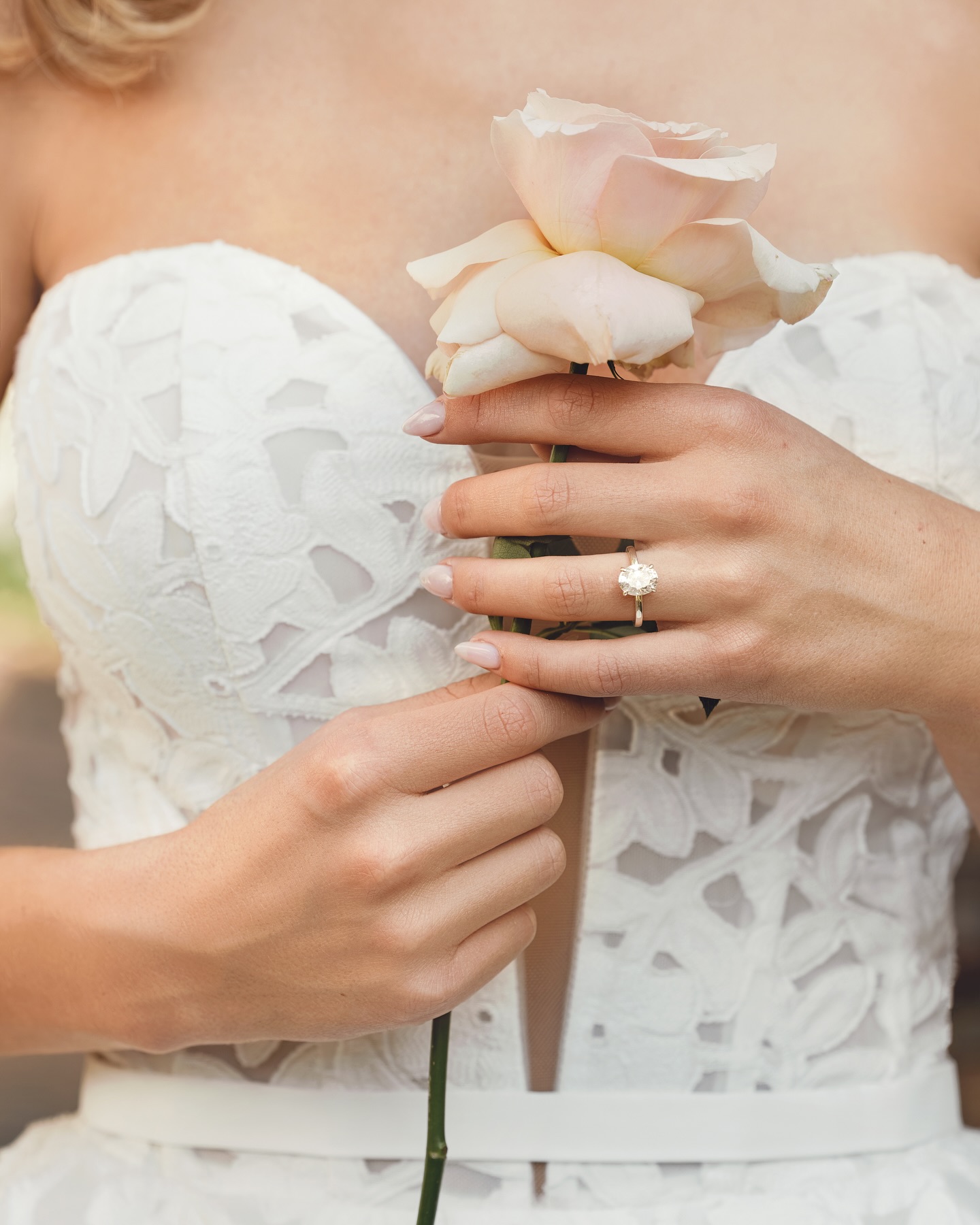 Love is the ultimate luxury 💍
Photography @barclaystudios_
Videography @cinastagestudios_
Planning and Design @enamoredandmotion
Bridal couture @veilbridalcouture
Venue host @veilbridalcouture
Groom suit @mastersuitsa
Stationary @handmadebyjanine
Cake designer @baked_kalerato
Make up artist @artistry_by_dyllan
Hair stylist @fatimaallyurbanchic
Floral designer @skatstudio_
Rentals and decors @skatstudio_rentals
#LoveAndLuxury #BloomingRomance #ElegantAffair #WorldwideRomance #destinationwedding #weddingplanner #weddingdesigner #internationalwedding #southafrica #johannesburg #franceweddingplanner #luxurywedding #southafricaweddings #bridestobe #brides2024 #brides2025