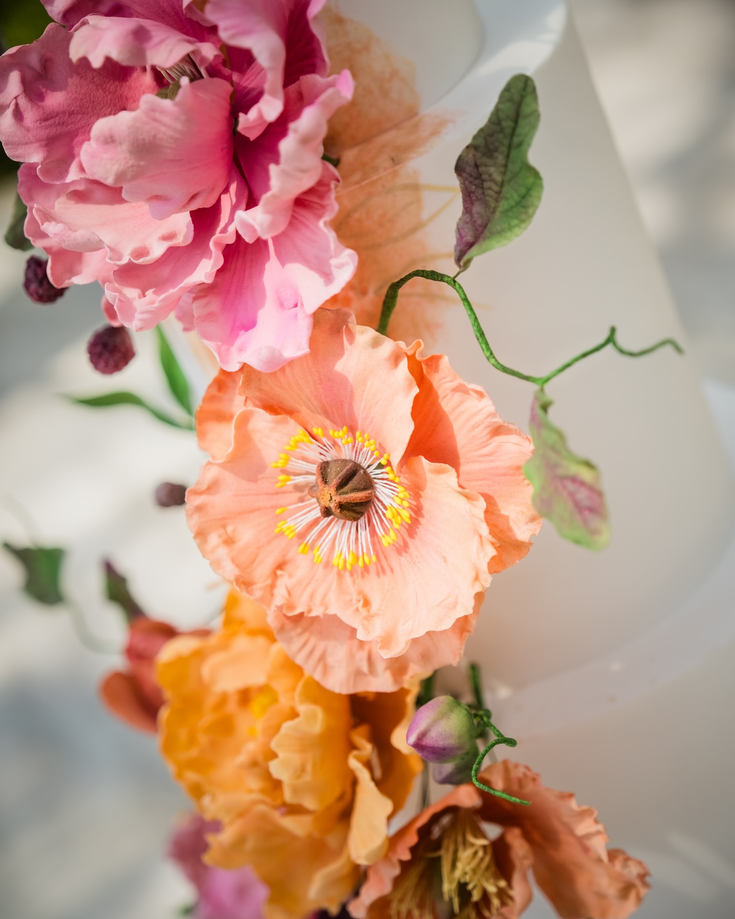 🇺🇸 In a world where dreams are made of sugar and petals, this wedding cake design is a vision of pure beauty.
With its intricate floral details and exquisite craftsmanship, it’s a sweet centerpiece that embodies the essence of a lavish celebration. 🌺🍰✨
🇫🇷 Dans un monde où les rêves sont faits de sucre et de pétales, ce modèle de gâteau de mariage est une vision de pure beauté.
Avec ses détails floraux complexes et son savoir-faire exquis, c’est une pièce maîtresse qui incarne l’essence d’une somptueuse célébration. 🌺🍰✨
@dirtypeach_cakeboutique
Planner & Designer @enamoredandmotion
Photography @alexandersmithstories
Videography @echo_photography_film
Stationary @polkadotpapershop
Floral design @lovebelovedstudios
Tableware rentals @lovebelovedrentals
Hair & Makeup Artist @Keljeans
Rental furniture @reservedexclusive
Bridal gowns @millanova @vonvebridalcouture
Men customed Tuxedo @tailormesa
Bridal shoes @bellabelleshoes
Jewelry @swarovski
#LuxuryWeddingcake #FloralFantasy #CakeArtistry #LuxuryWeddings #DestinationDreams #WorldwideRomance #destinationwedding #weddingplanner #weddingdesigner #franceweddingplanner #luxurywedding #southafricaweddings #bridestobe #brides2024 #brides2025