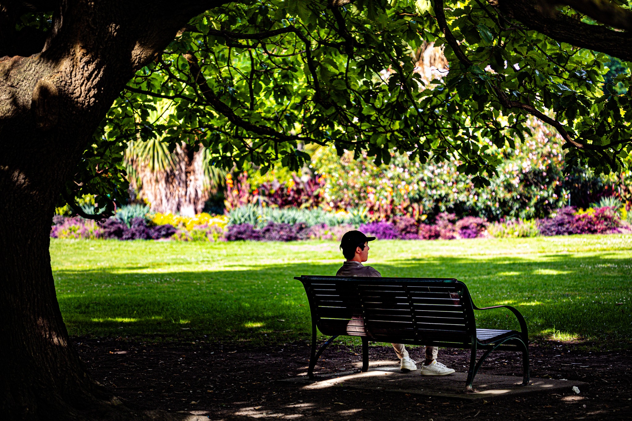 Melbourne Summer Gardens ☀️🌸
#melbourne #summer #garden #floral #shade #fitzroy #fitzroygardens