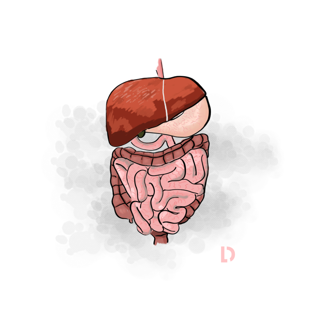 Die viszerale Osteopathie konzentriert sich auf die inneren Organe. Das Konzept wurde von Pierre Baral erfunden. Aktive und passive Bewegungen der Organe werden angeregt und können so Beschwerden lindern oder unterstützen.
Dazu gehören Bauchschmerzen, Reizdarmsyndrom, Sodbrennen, Verdauungsstörungen, Verklebungen im Bauchraum, Verstopfung und vieles mehr.
Wichtige Einflüsse sind hier eine funktionierende Bauchatmung, guter und ausreichender Schlaf, Stressreduktion und eine ausgewogene Ernährung.
#verdauung #visceraleosteopathie #visceral #obstipation #stress #sodbrennen #aufstoßen #bauchatmung #reizdarm #verklebung #obstipation
#osteopathie #osteopathischebehandlung #osteopathieberlin #osteopathieprenzlauerberg #ganzheitlich #gesundheit #gesundheitstipps #schmerztherapie #schmerz #manualtherapie