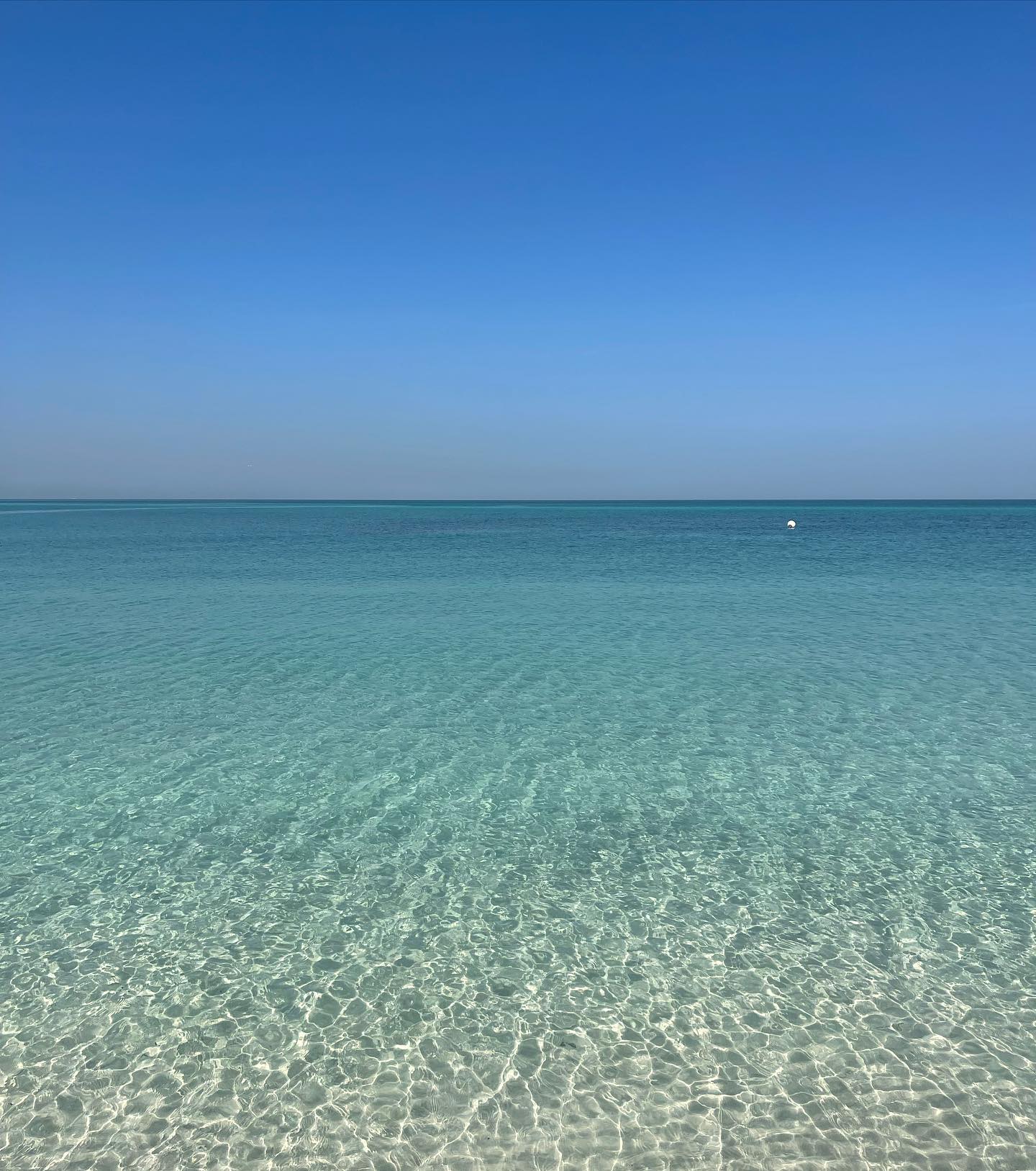 Beauty of Saadiyat 🌊🐬