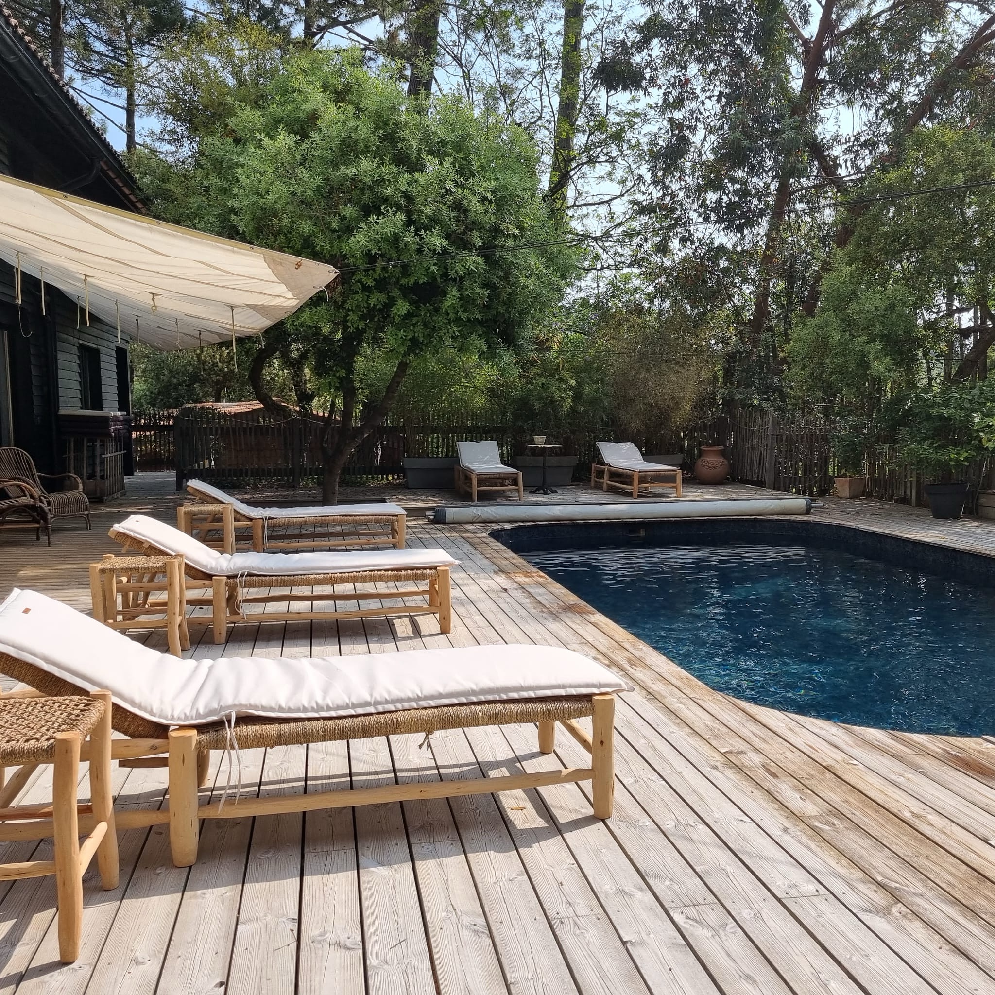 🌴 Détente absolue à La Dune! 🏊♂️☀️
Notre grande terrasse offre un cadre idyllique pour des journées ensoleillées et des soirées sous les étoiles. Notre piscine privée est le lieu parfait pour se détendre et se ressourcer en famille ou entre amis. Réservez votre séjour pour des vacances inoubliables au Cap-Ferret. 🌿💦
#capferretmonamour #capferretaddict #capferret #capferretvacances #vacancescapferret #vacancesenfamille #vacancesenfrance #guidecapferret #quoifaireabordeaux #quoifaireaucapferret