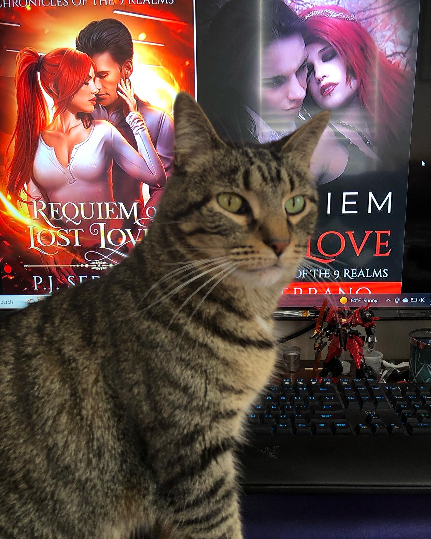 My little helper demanding his cuddles.