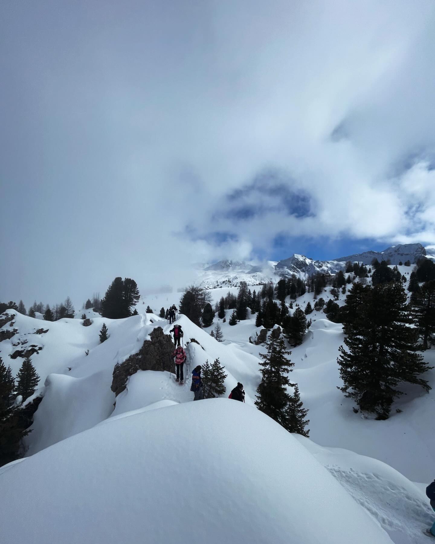 Dolines de gypse à @la_plagne
@savoiemontblanc #raquettesaneige #outdoor #randonnée #snowshoe #snowshoeing #skiholidays