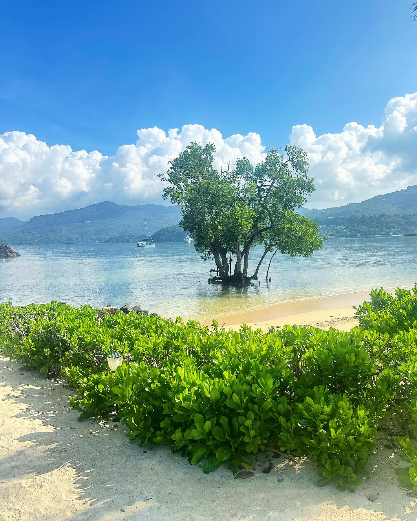 Peace & Serenity at Pineapple Beach 😌🍍
Happy Friday and may the weather stay this beautiful over the weekend!
#seychelles #travel #tropicaltravel